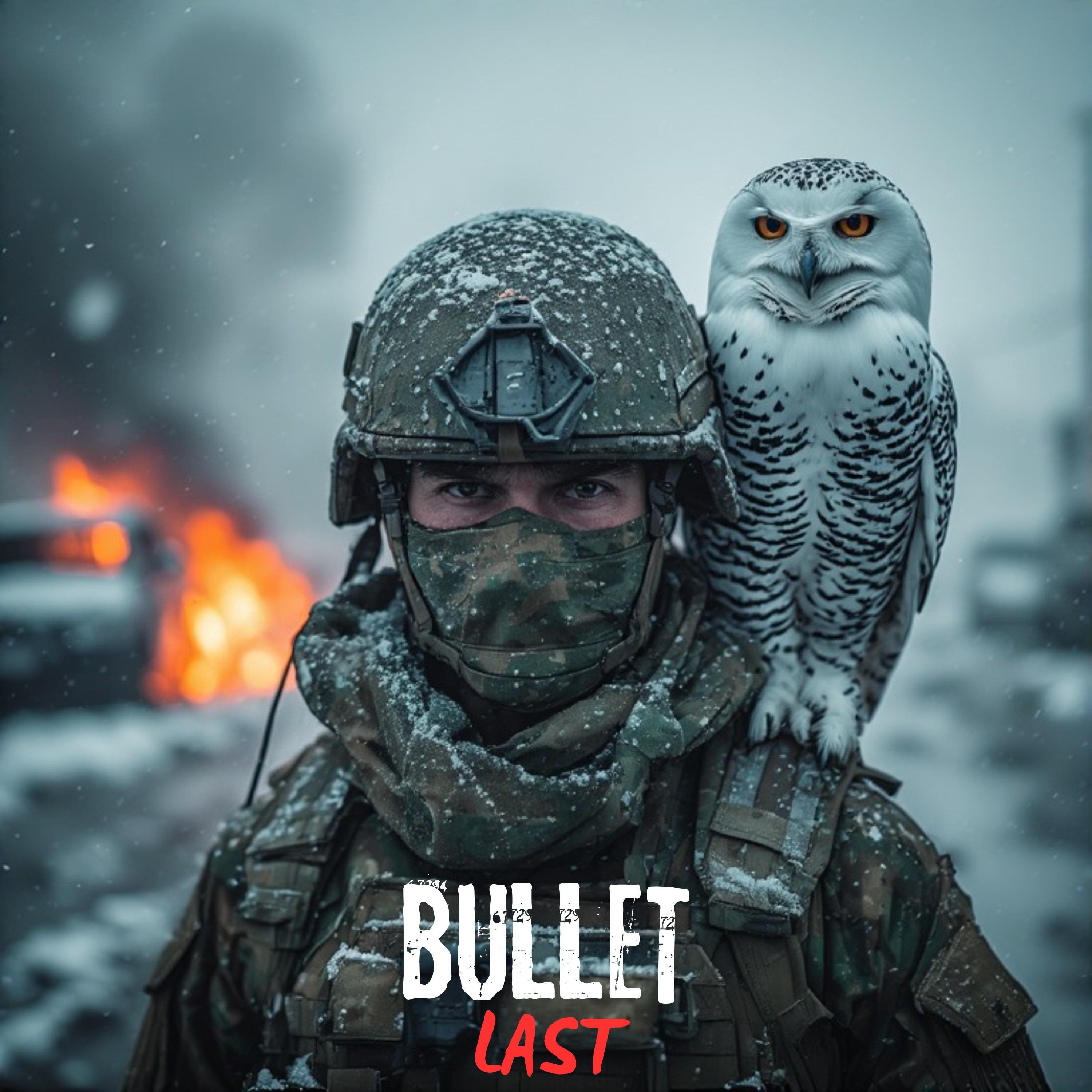 Релиз Last Bullet