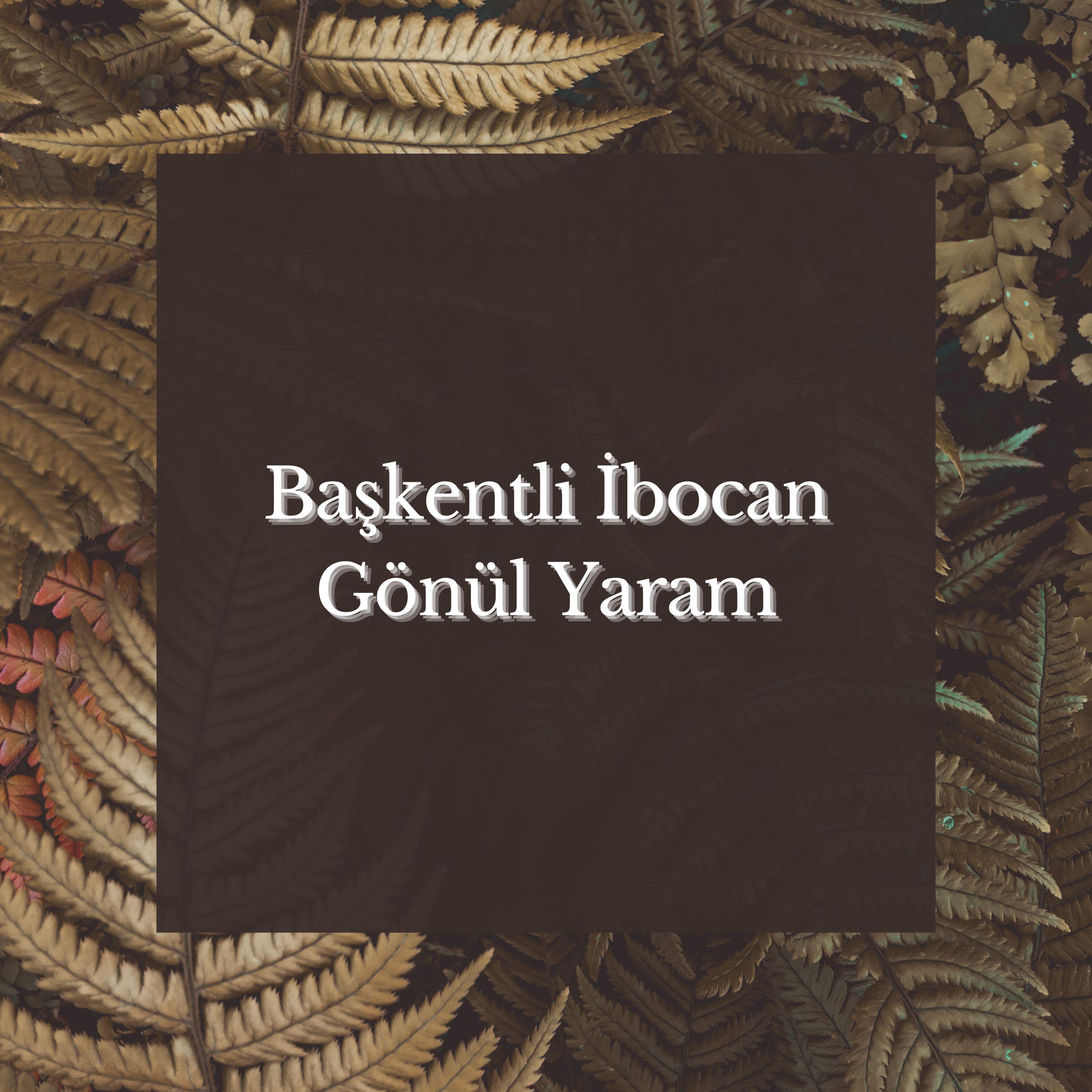 Релиз Gönül Yaram