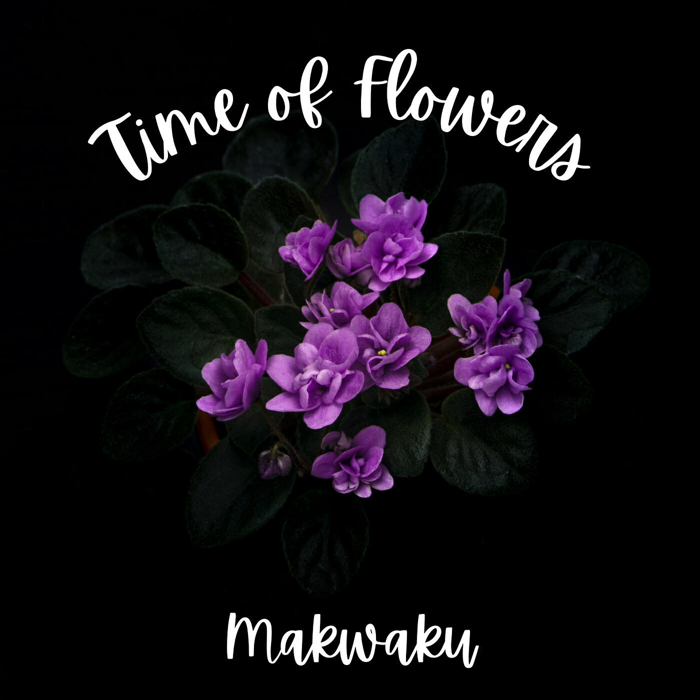 Релиз Time of Flowers