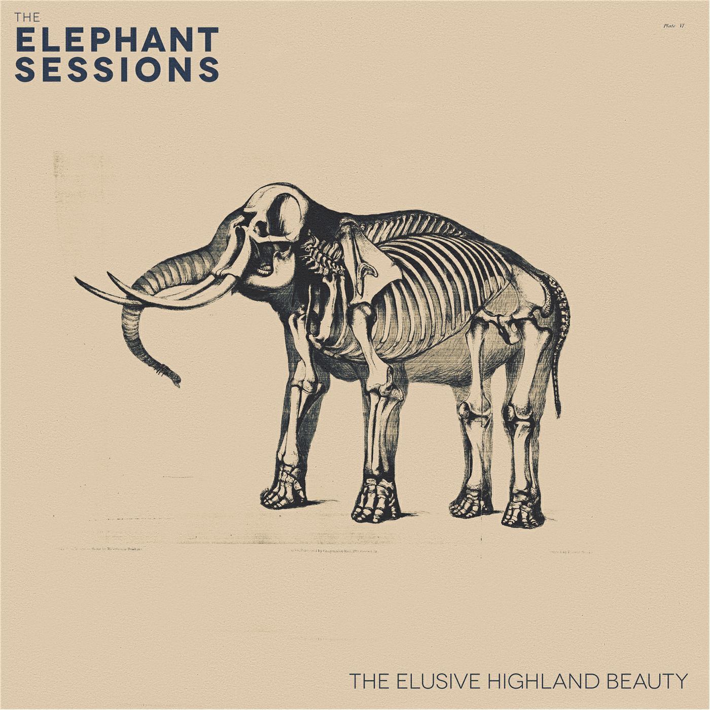 Релиз The Elusive Highland Beauty