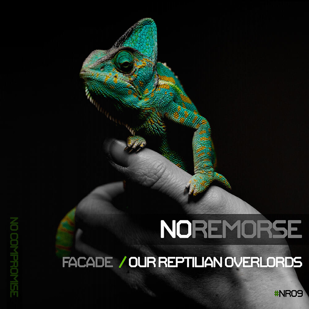 Релиз Our Reptilian Overlords