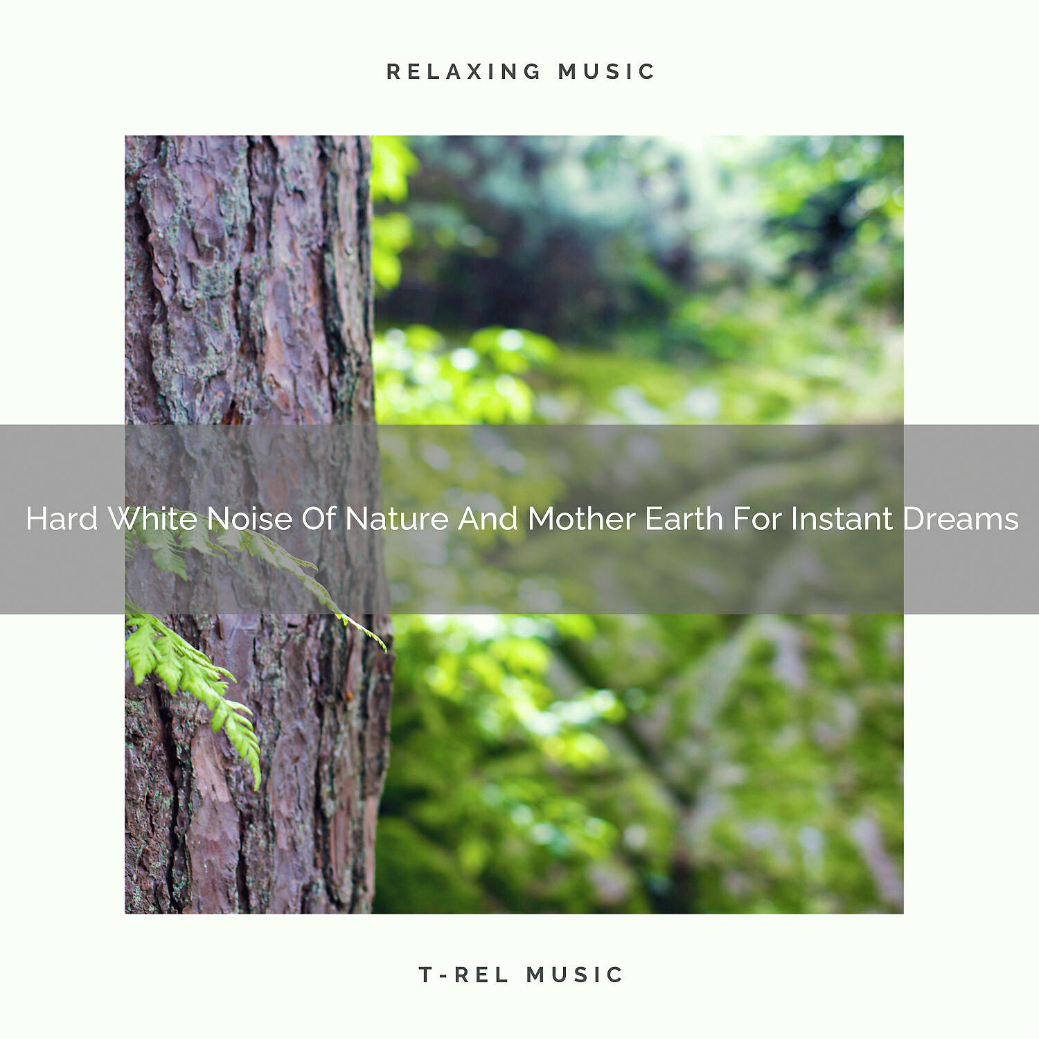 Релиз Hard White Noise Of Nature And Mother Earth For Instant Dreams