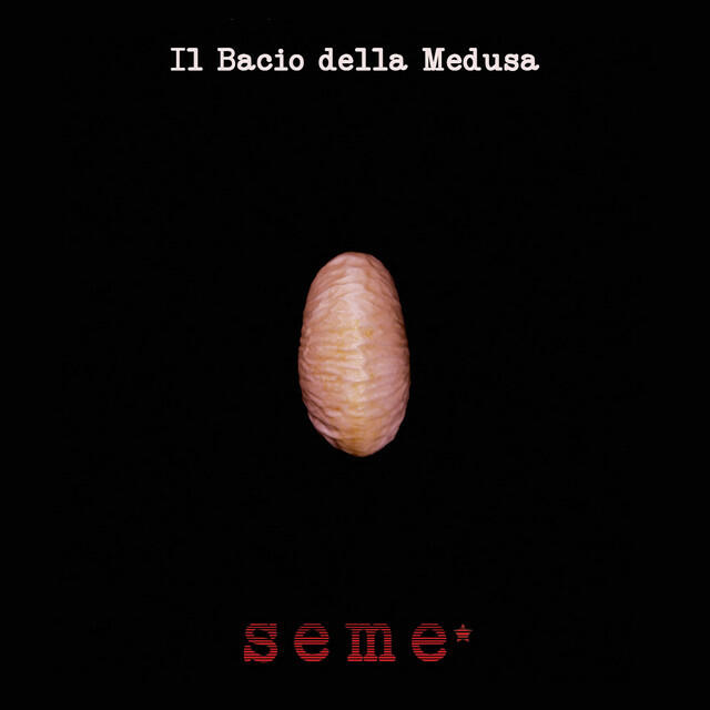 Релиз Seme*
