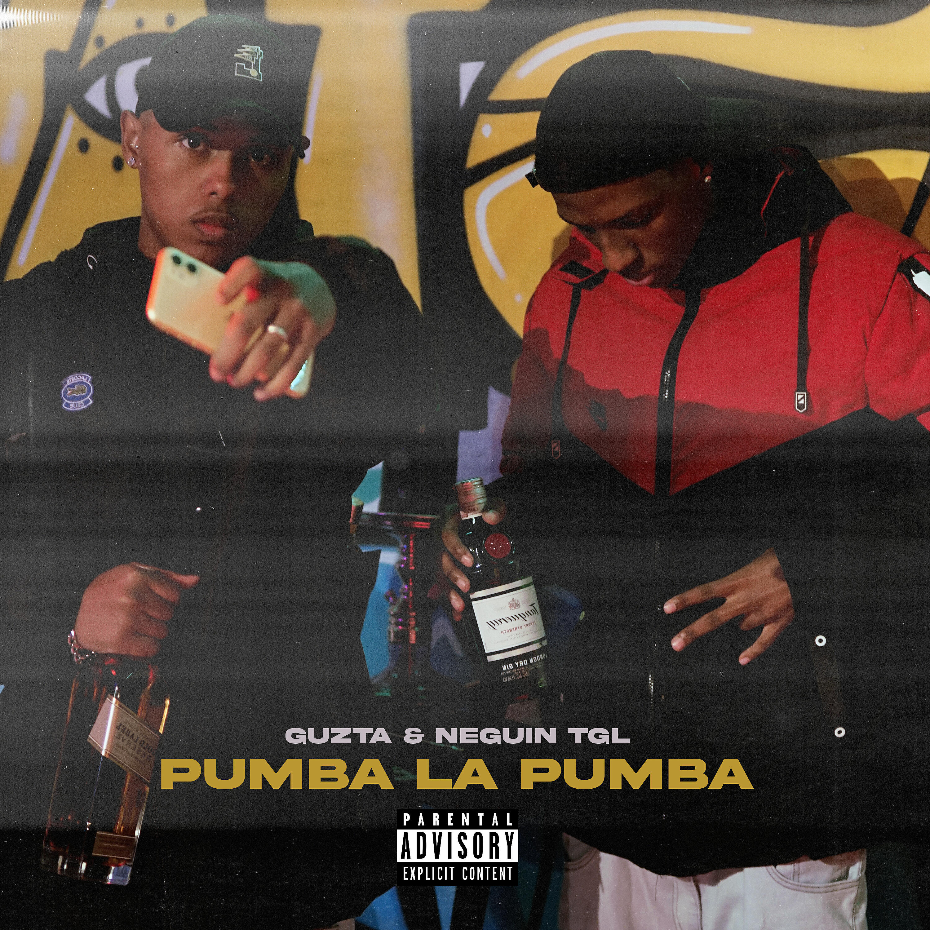Релиз Pumba La Pumba