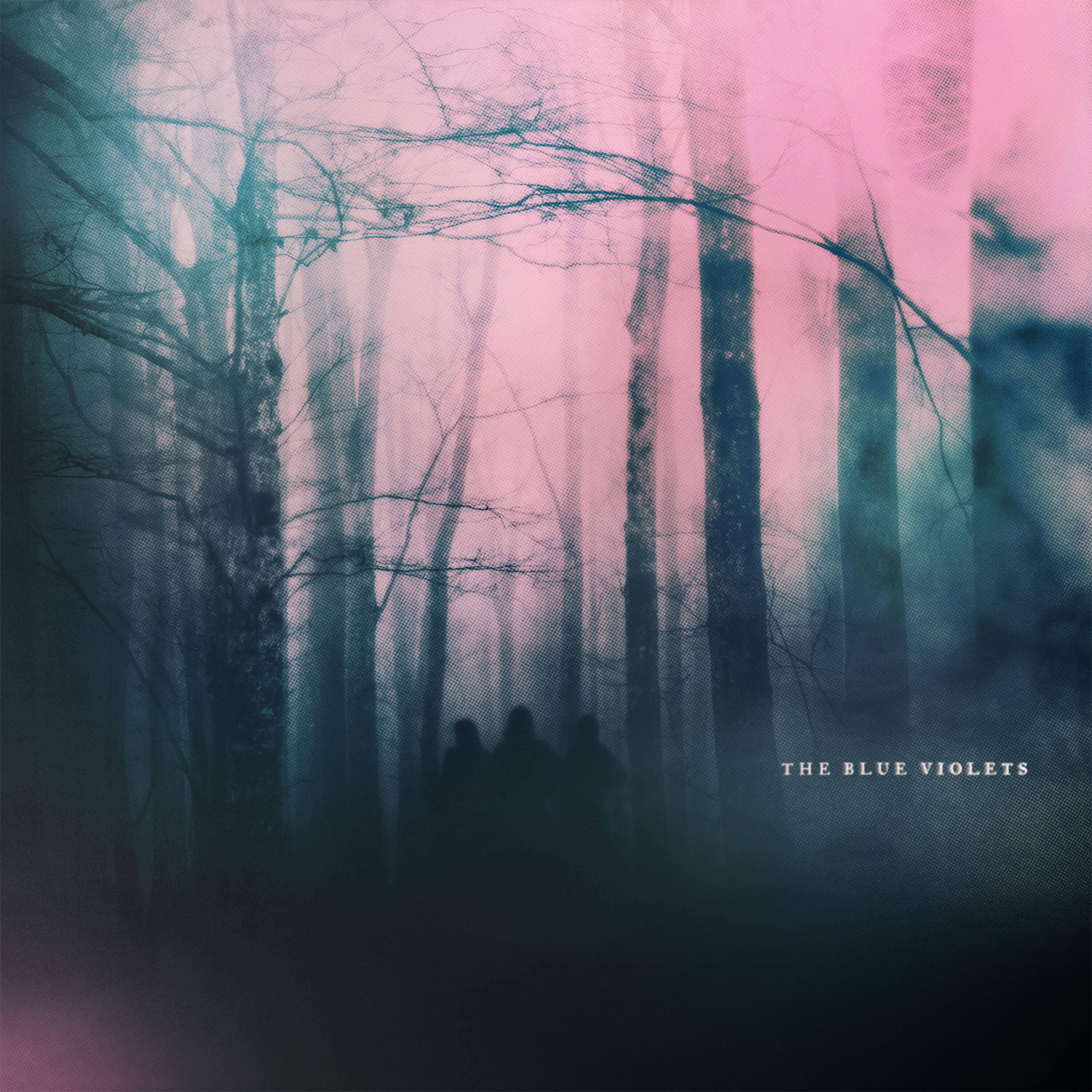 Релиз The Blue Violets
