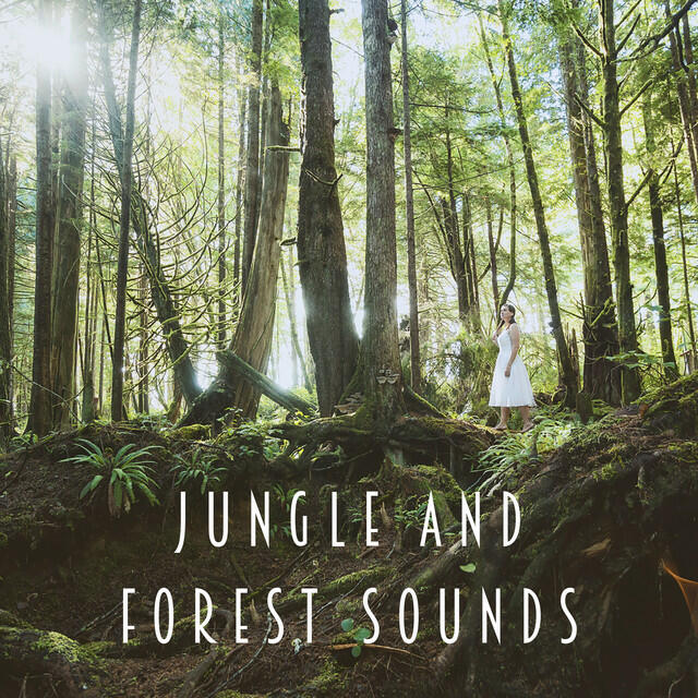 Трек Waterfall Jungle