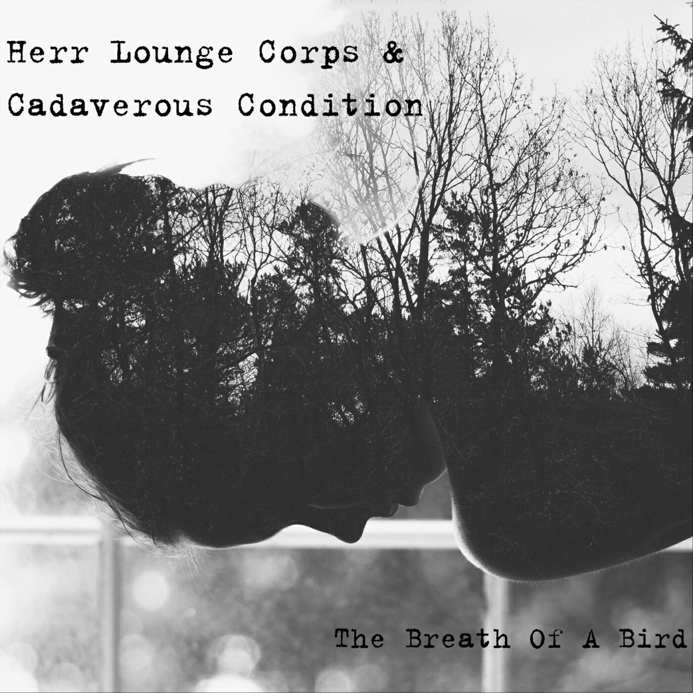 Релиз The Breath of a Bird
