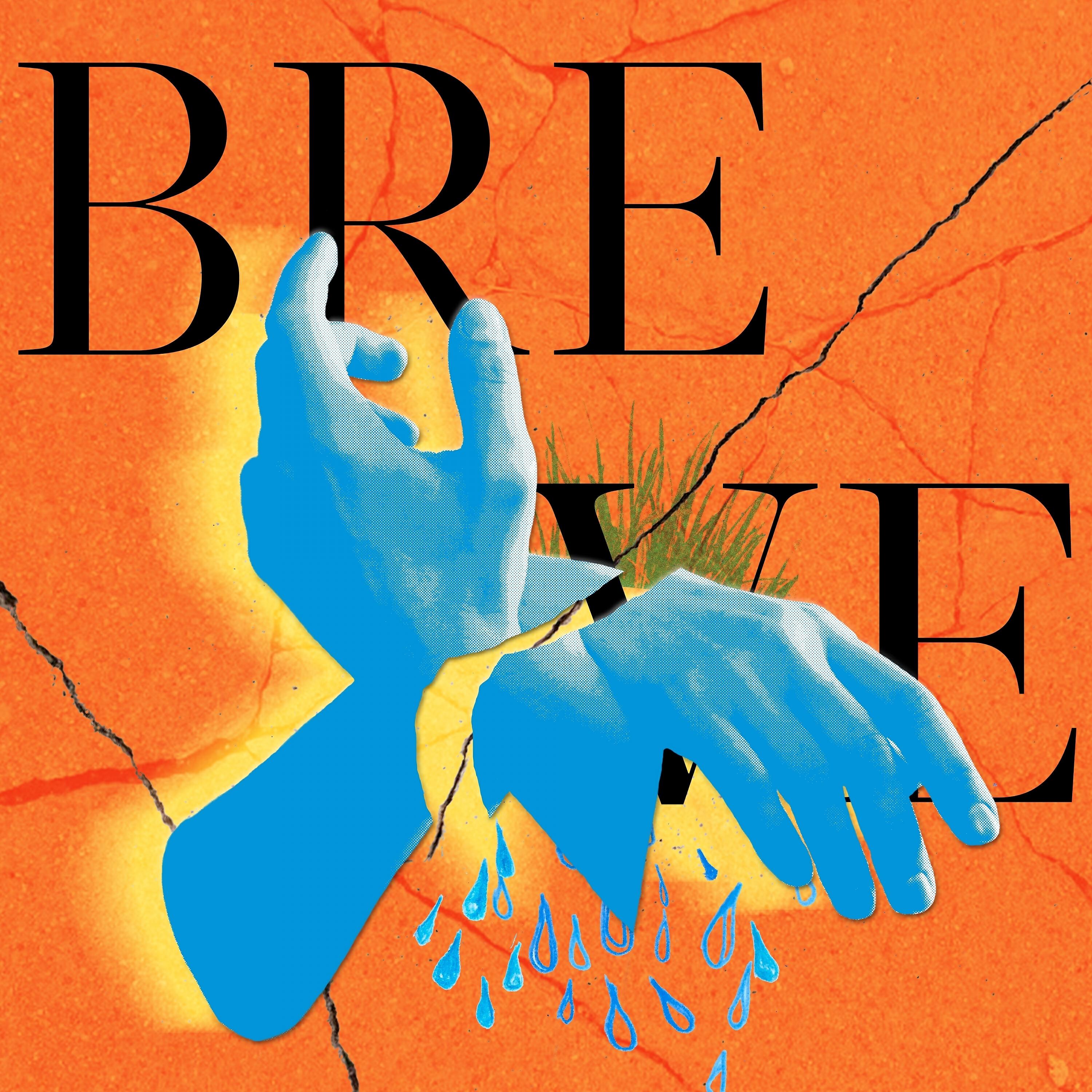 Релиз Breve