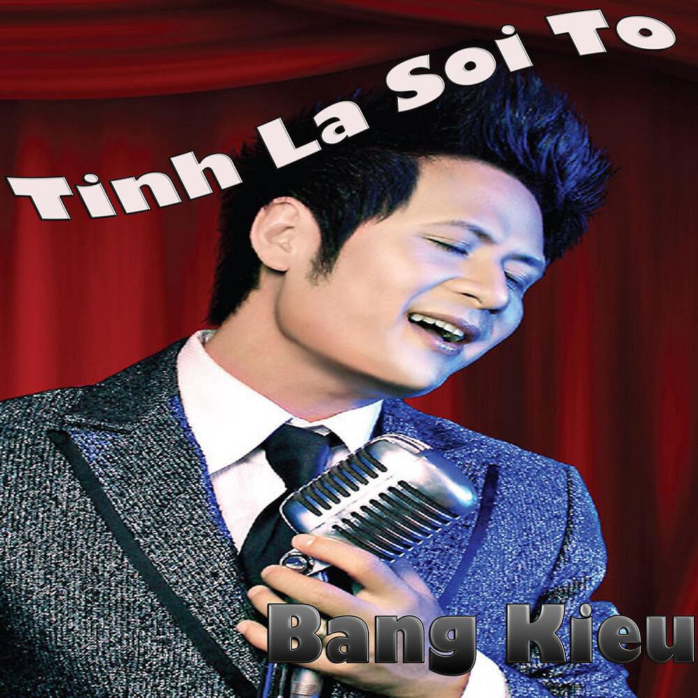 Релиз Tinh La Soi To