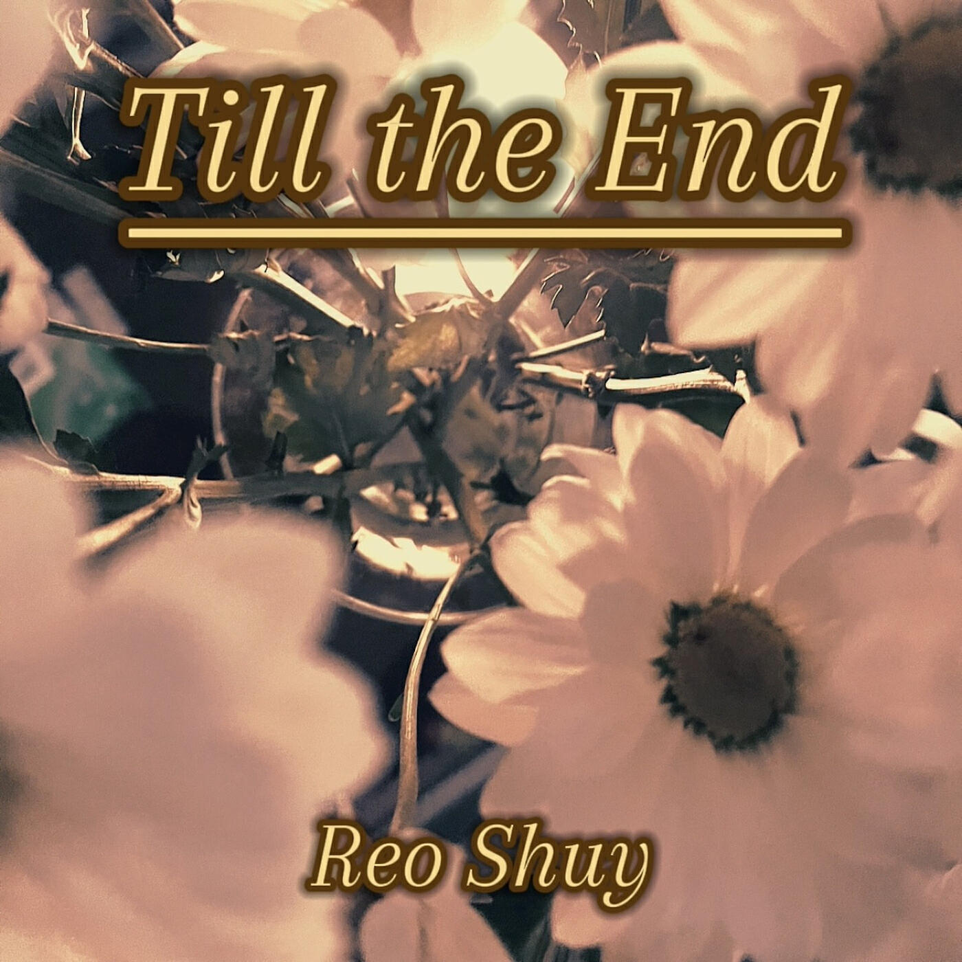 Релиз Till the End