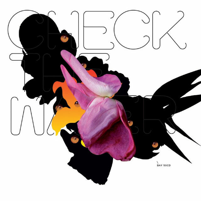 Релиз Check the Water