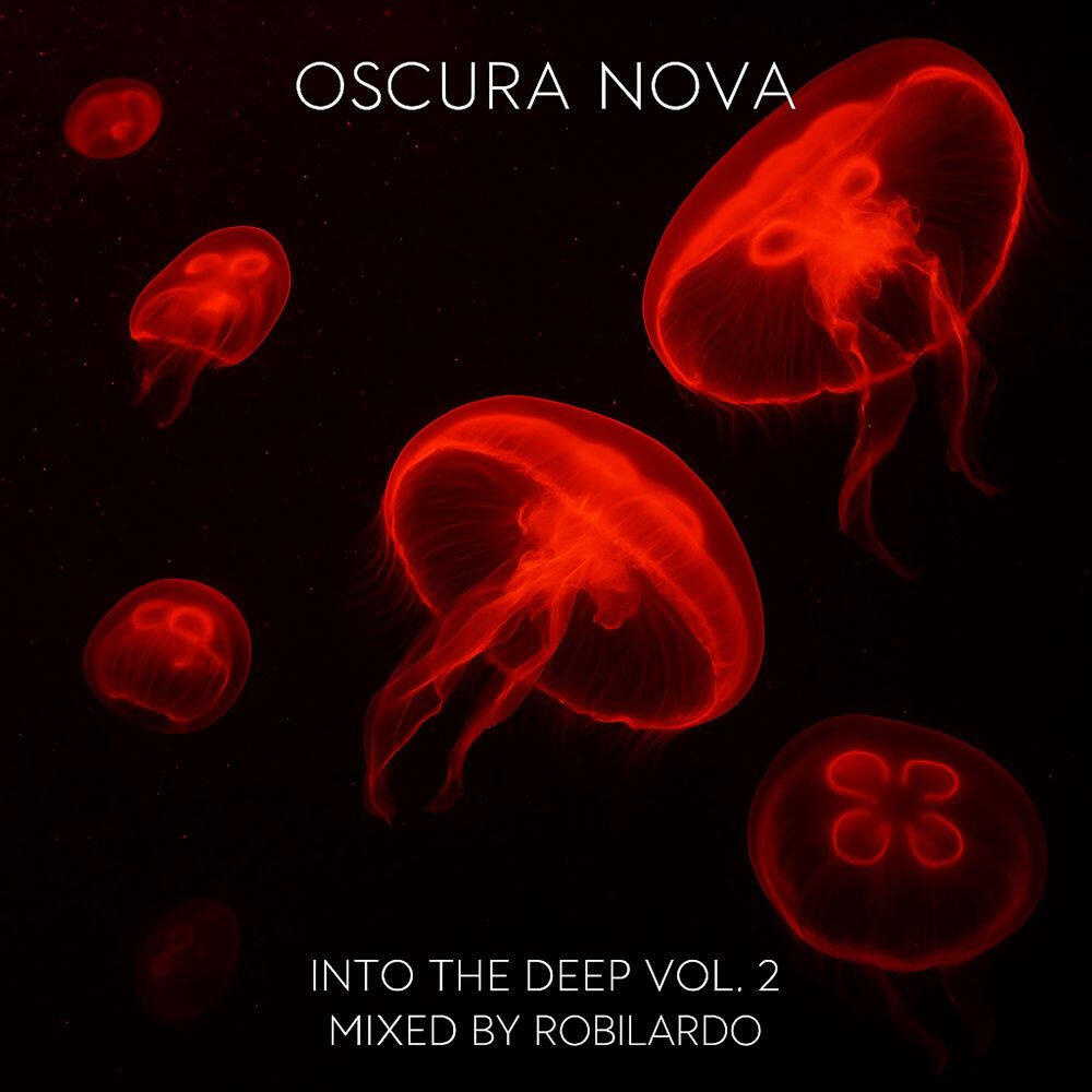 Релиз Into The Deep, Vol. 2 (Mixed by Robilardo)