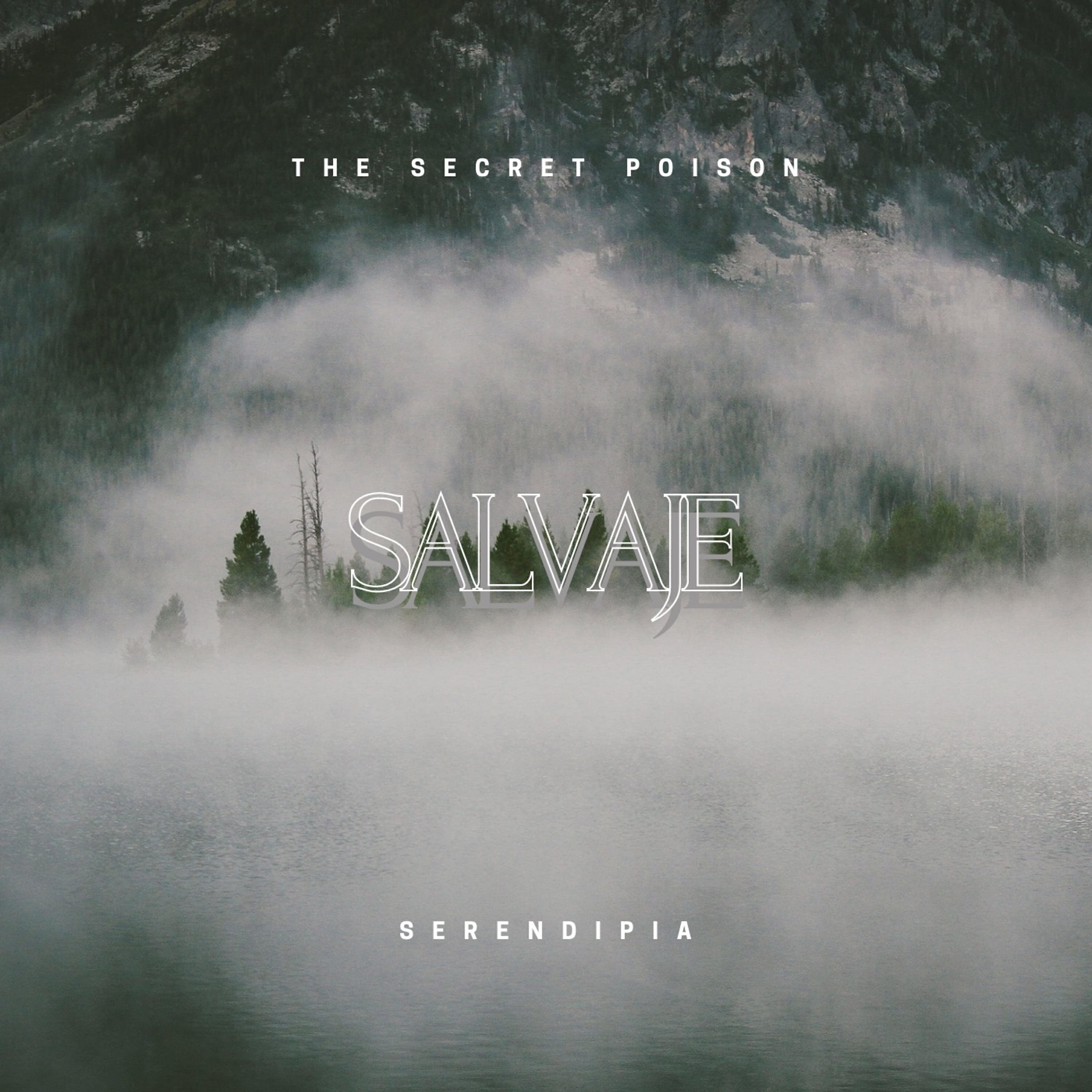 Релиз Salvaje