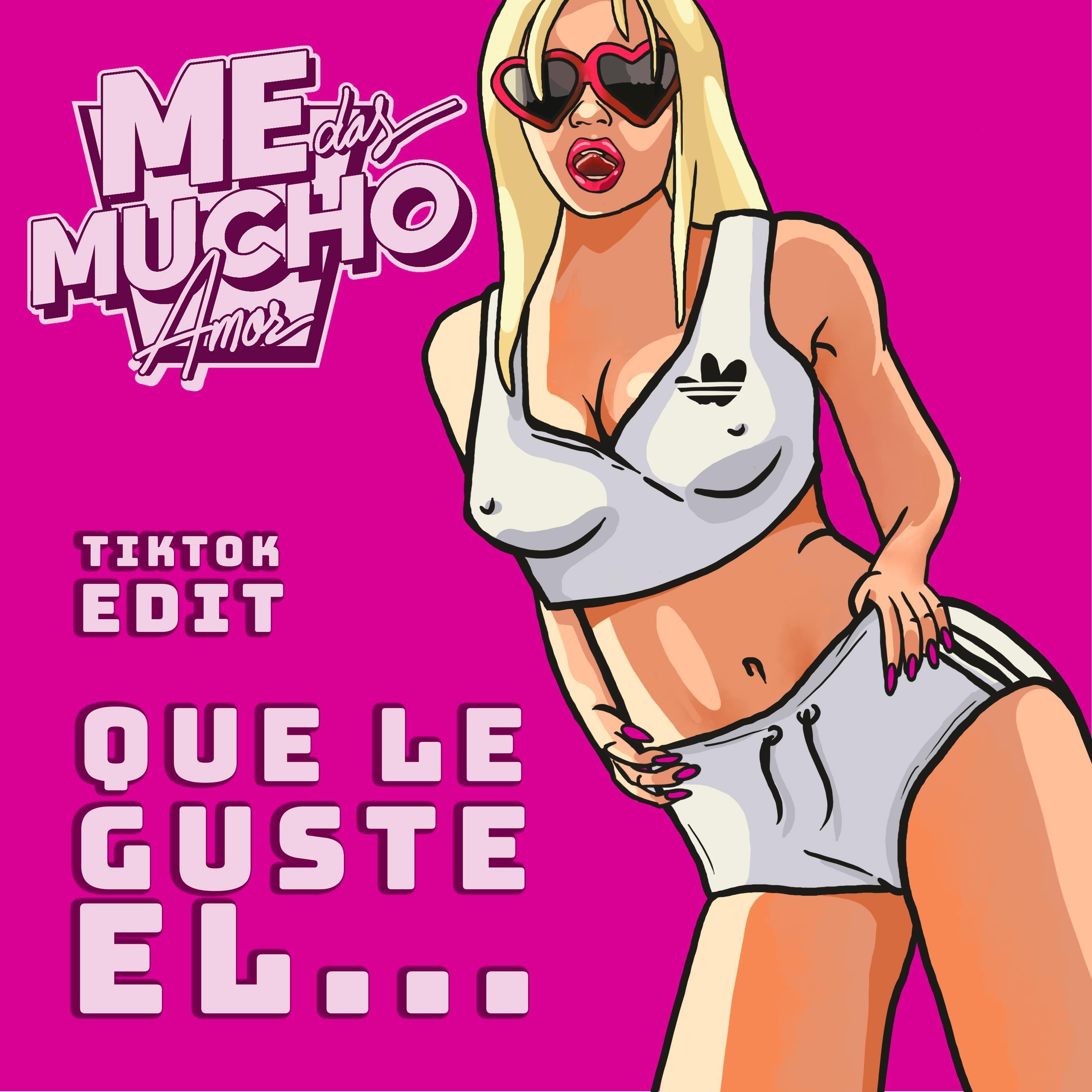 Релиз Que le guste el...