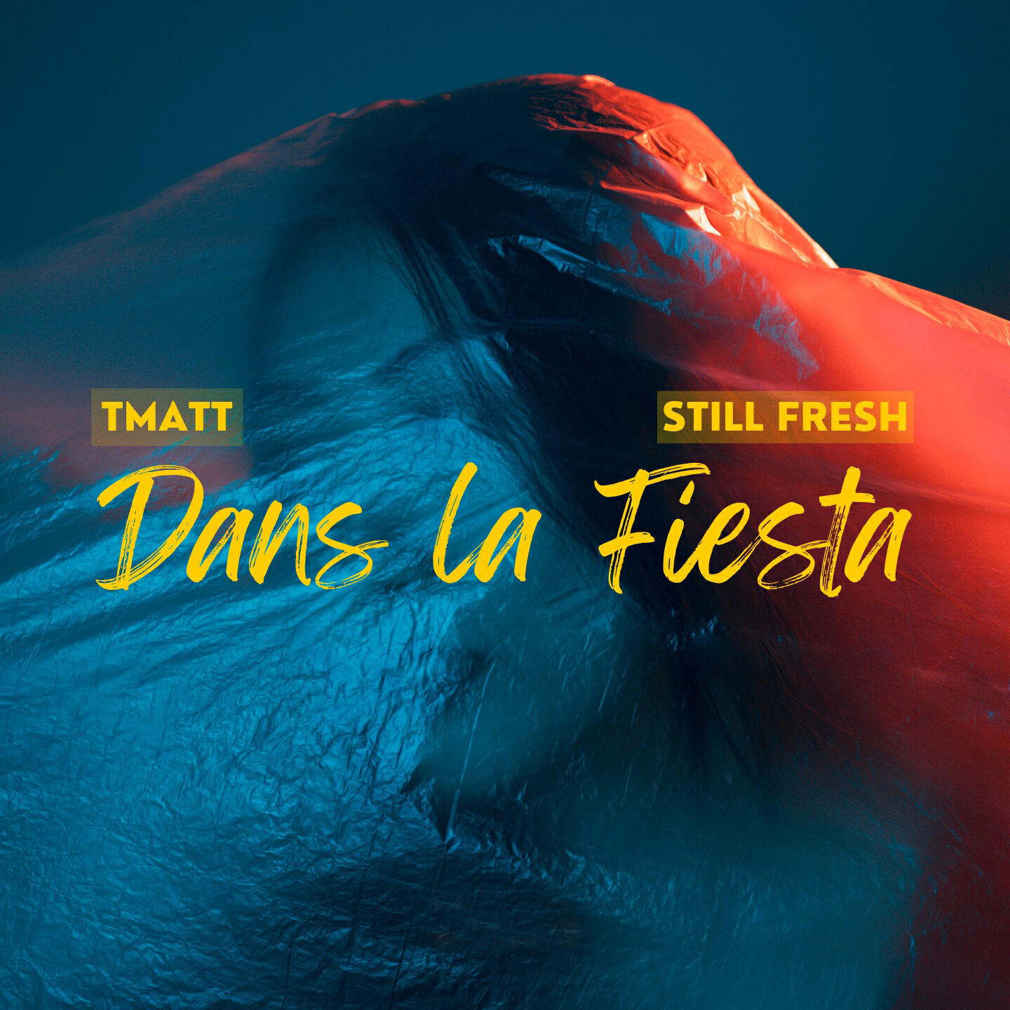 Постер альбома Dans la fiesta