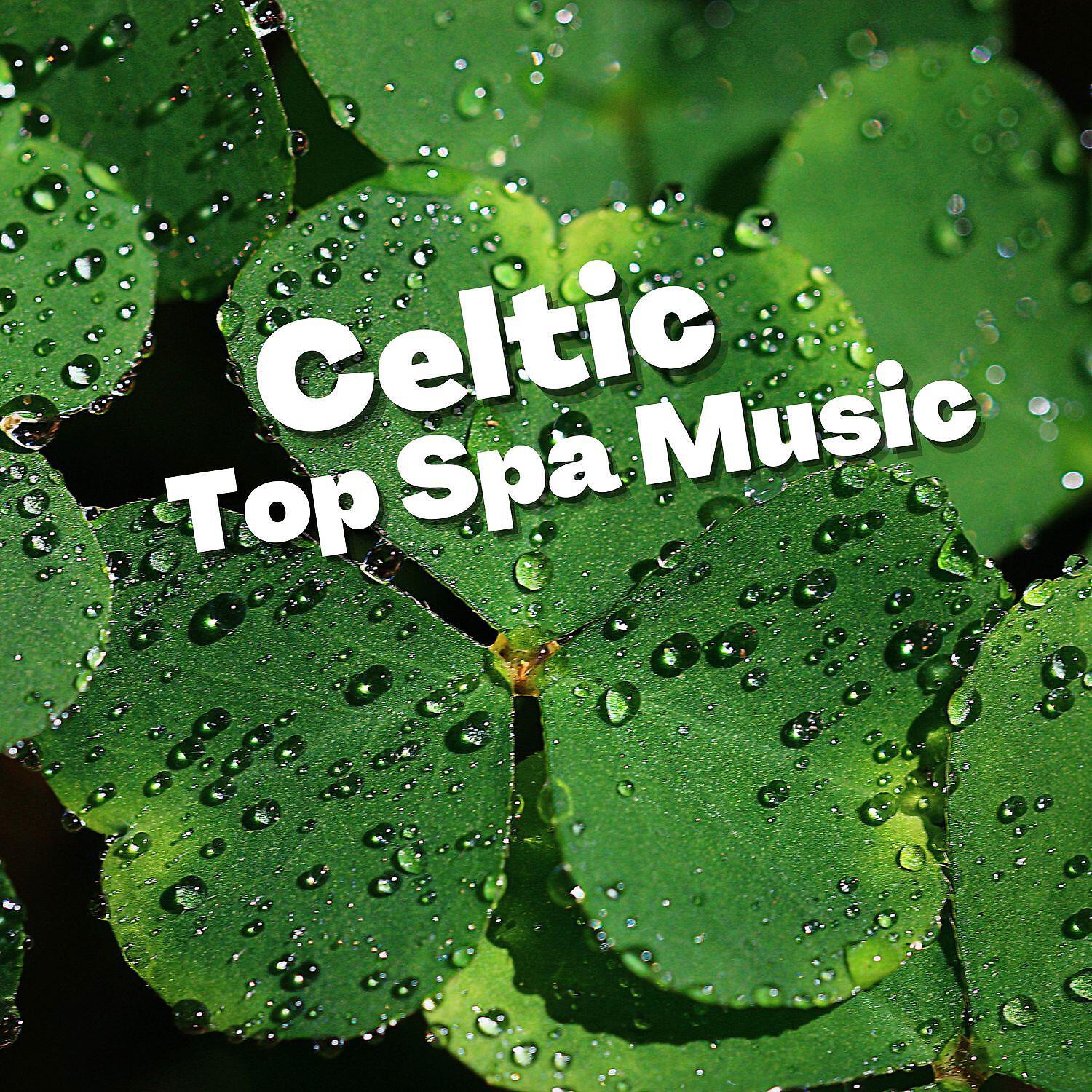 Релиз Celtic Top Spa Music