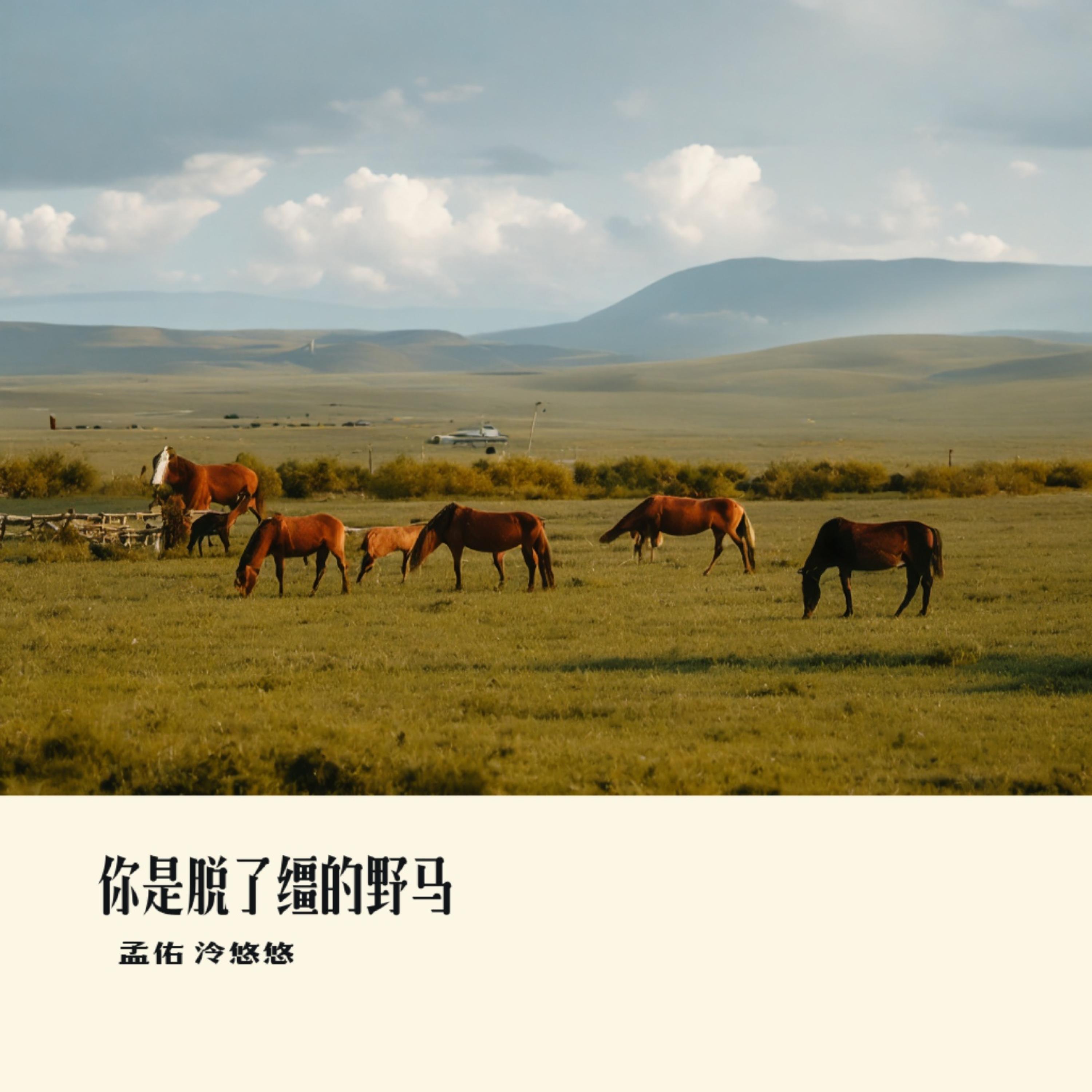 Релиз 你是脱了缰的野马