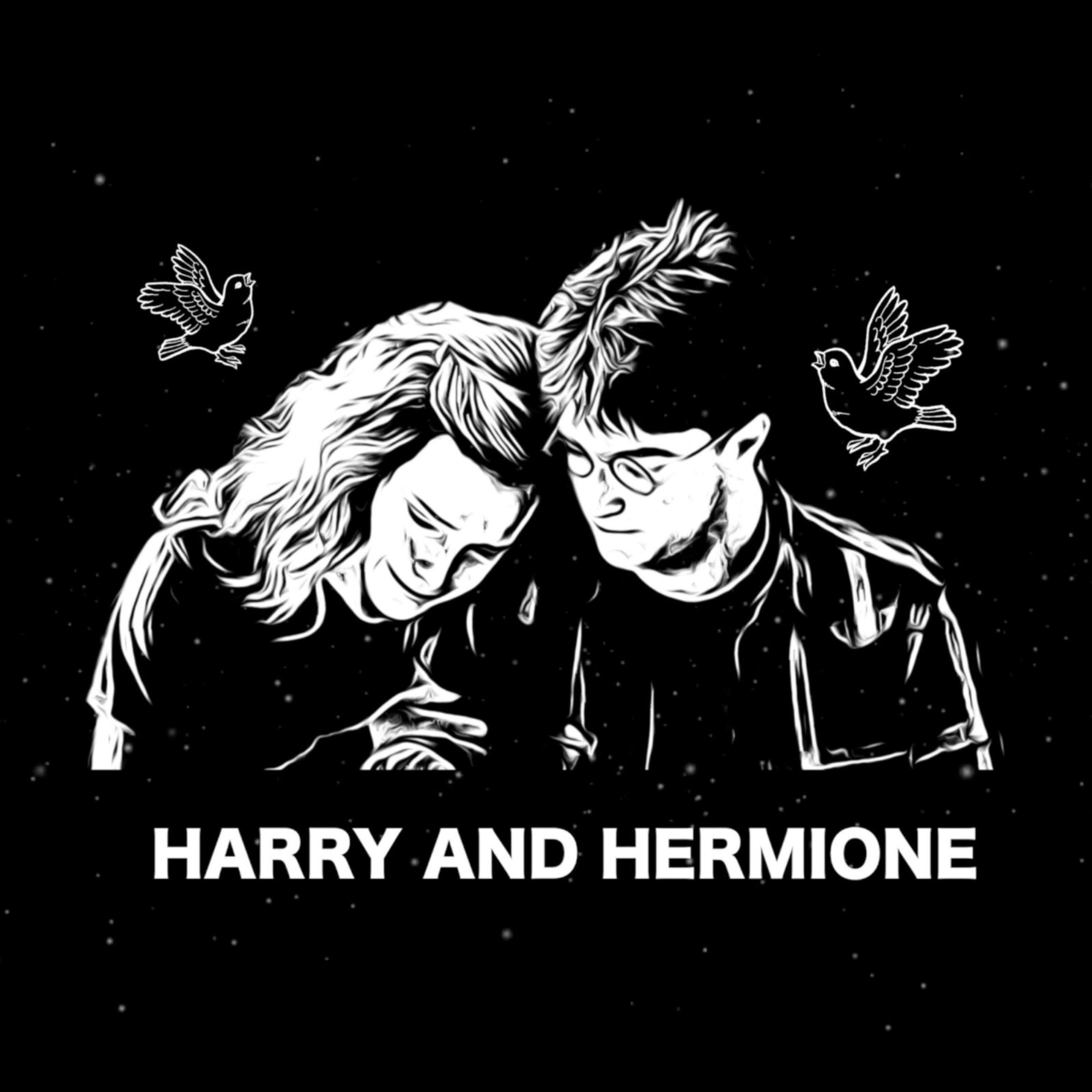 Релиз Harry and Hermione (Harry Potter and the Half Blood Prince)