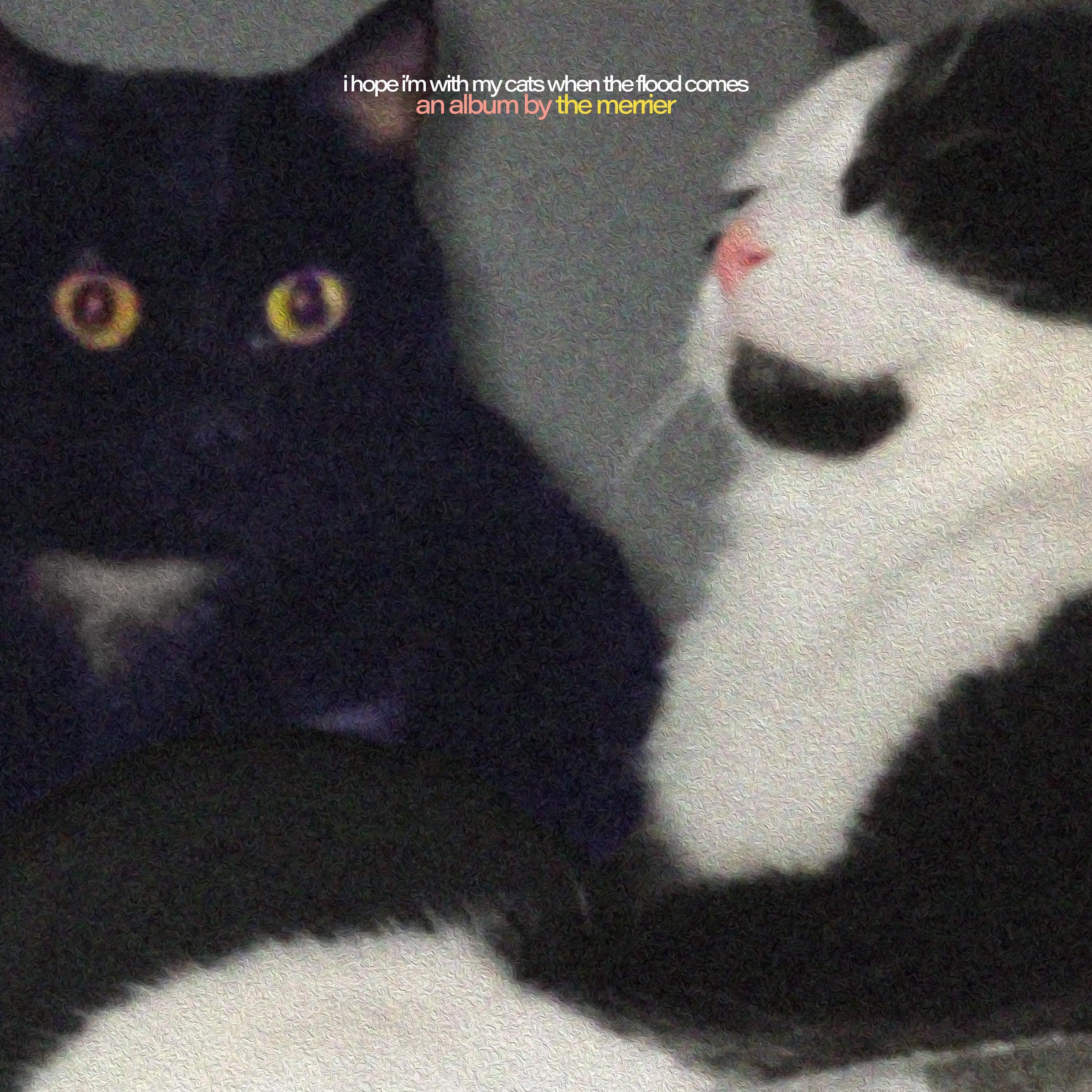 Релиз i hope i'm with my cats when the flood comes