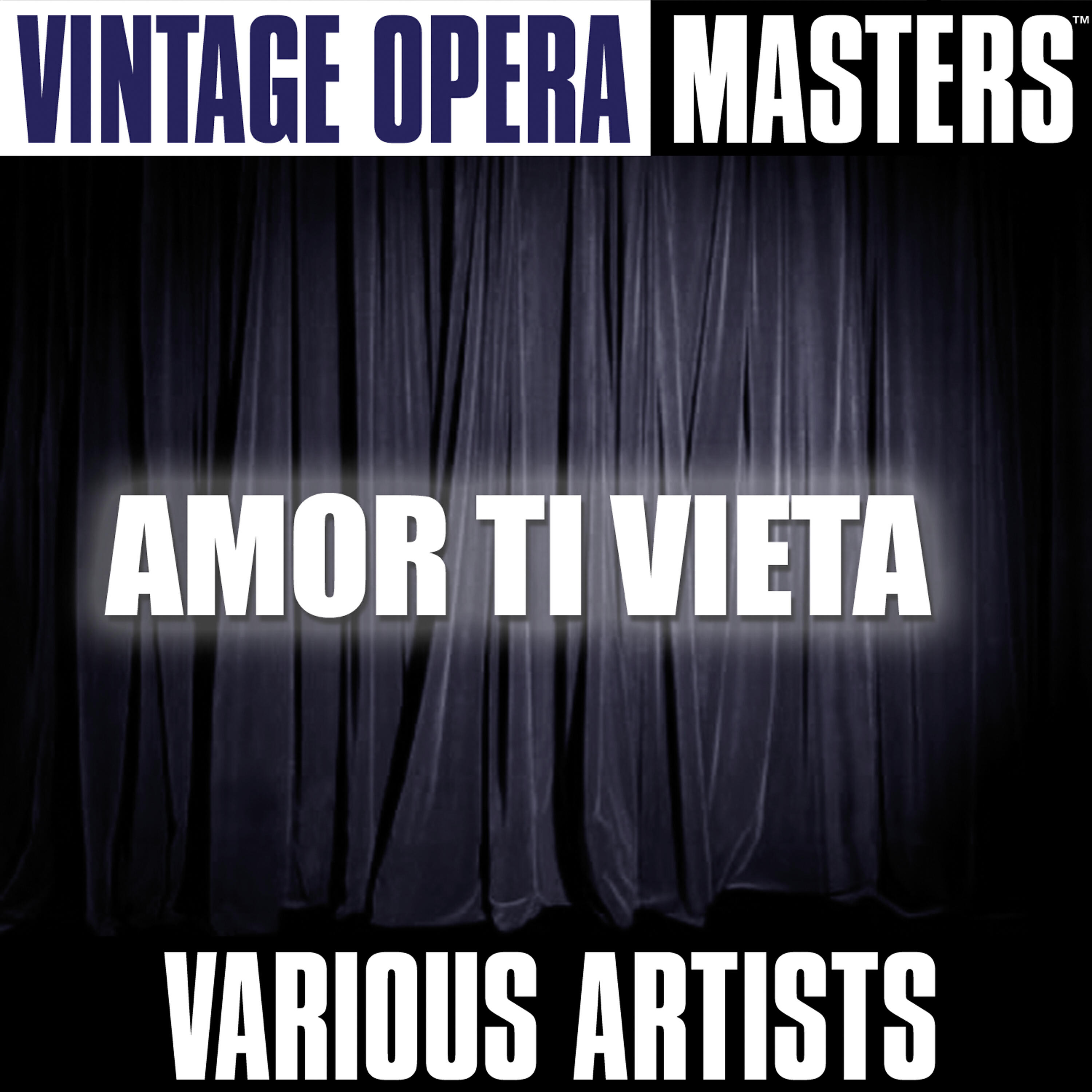 Постер альбома Vintage Opera Masters: Amor Ti Vieta