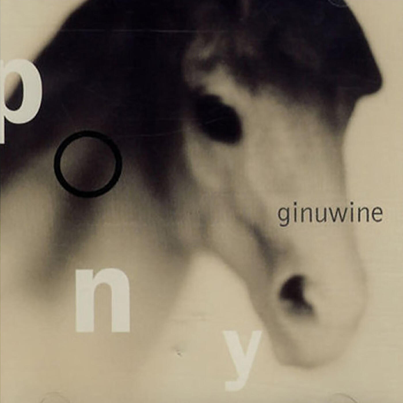 Релиз Pony