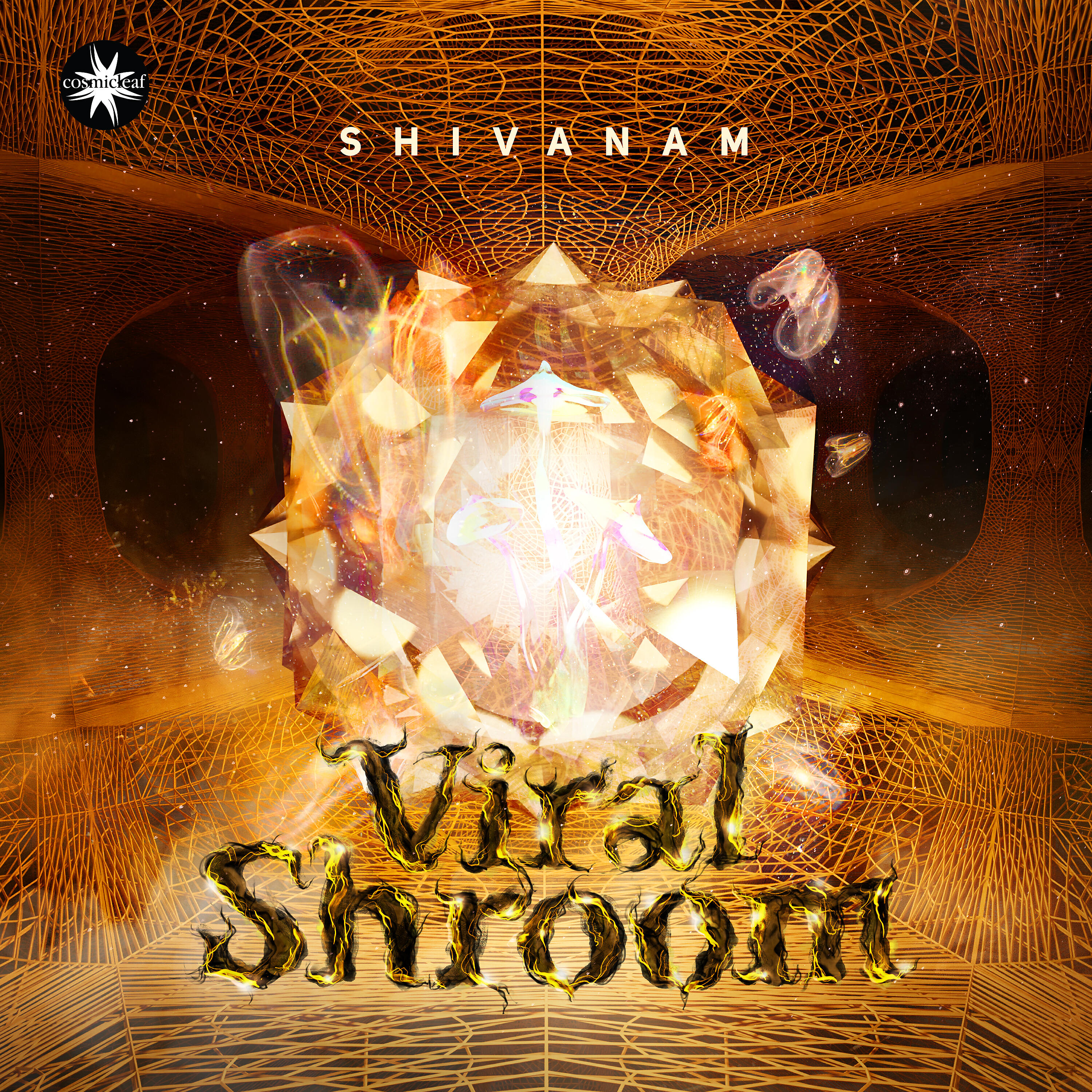 Релиз Viral Shroom