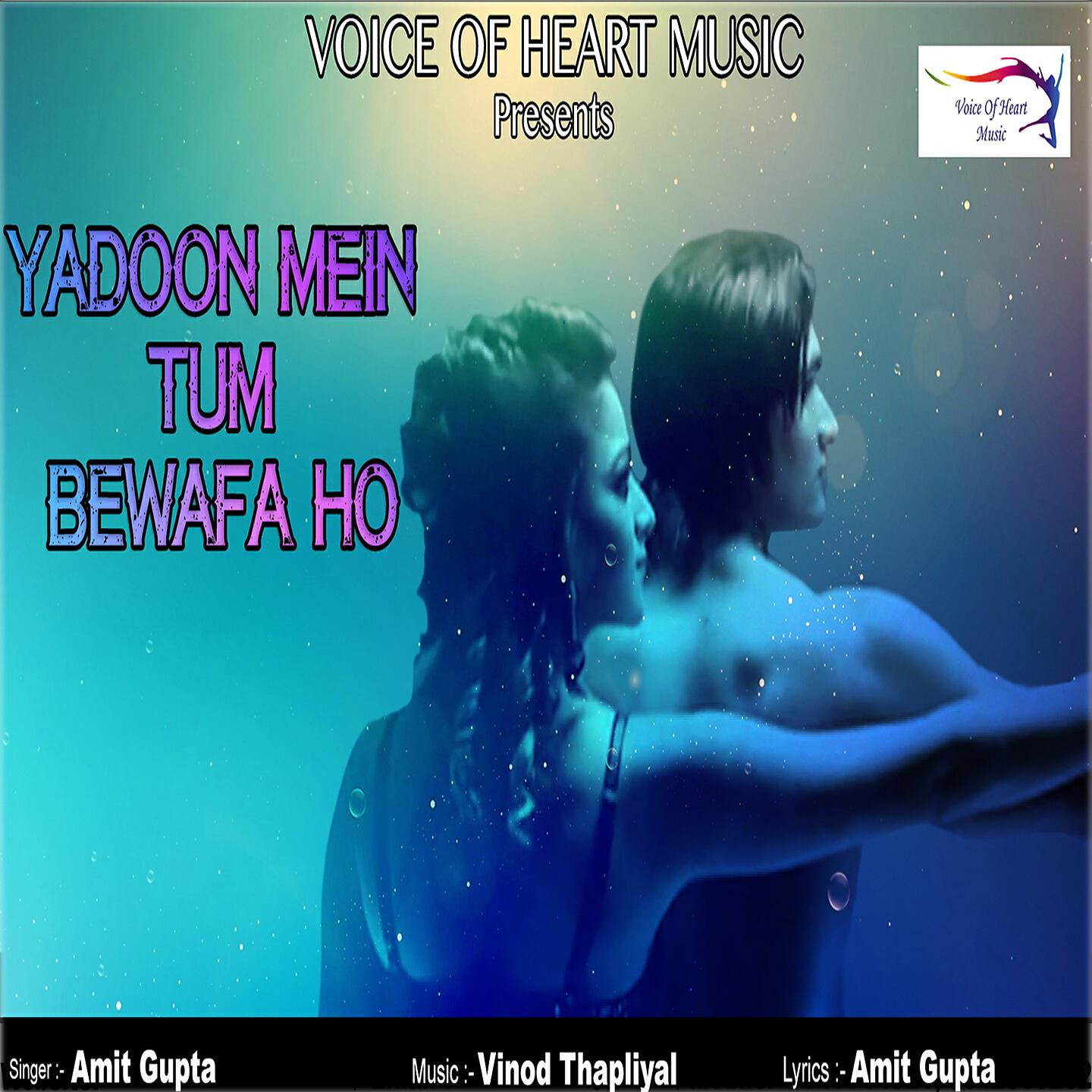 Релиз Yadoon Mein Tum Bewafa Ho