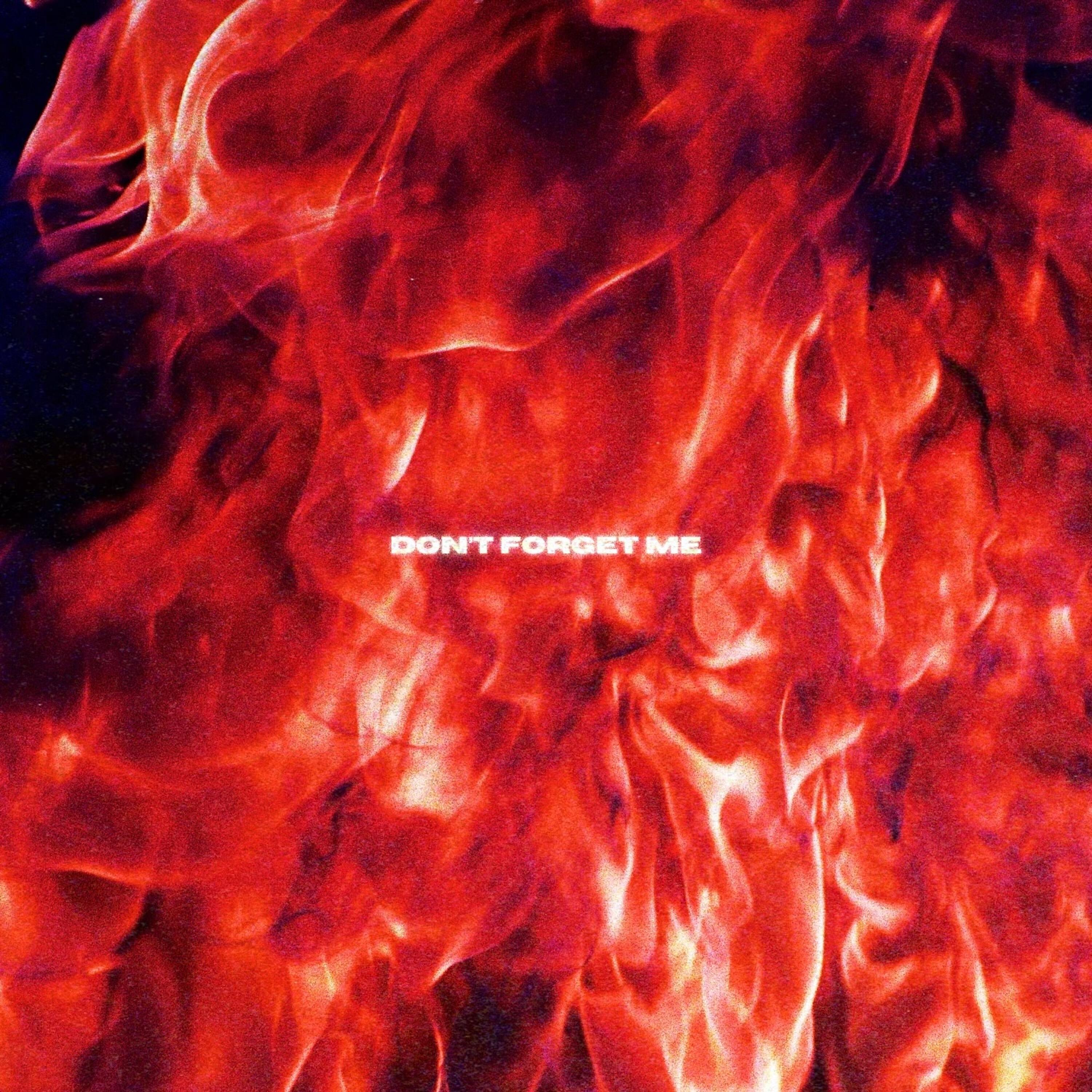 Релиз Don't Forget Me