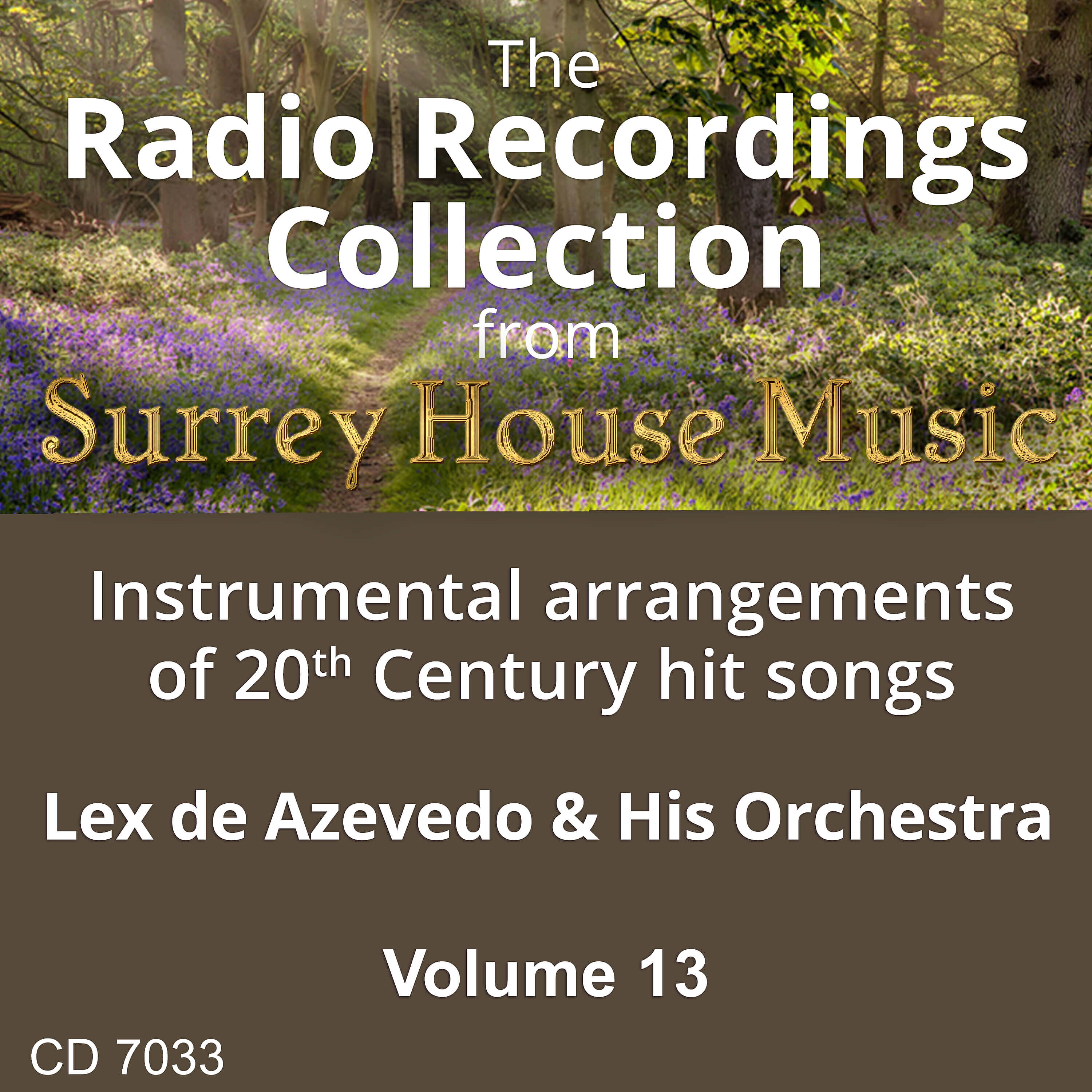 Релиз Lex de Azevedo & His Orchestra, Vol. 13