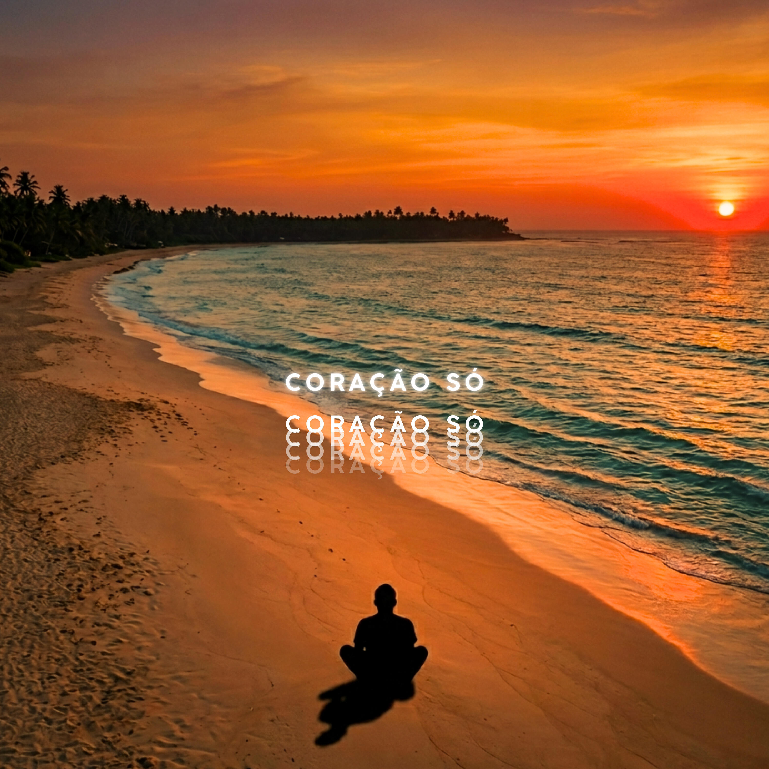 Релиз Coração Só