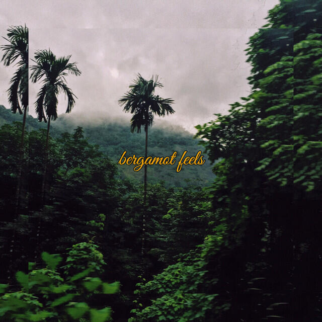 Релиз Bergamot Feels