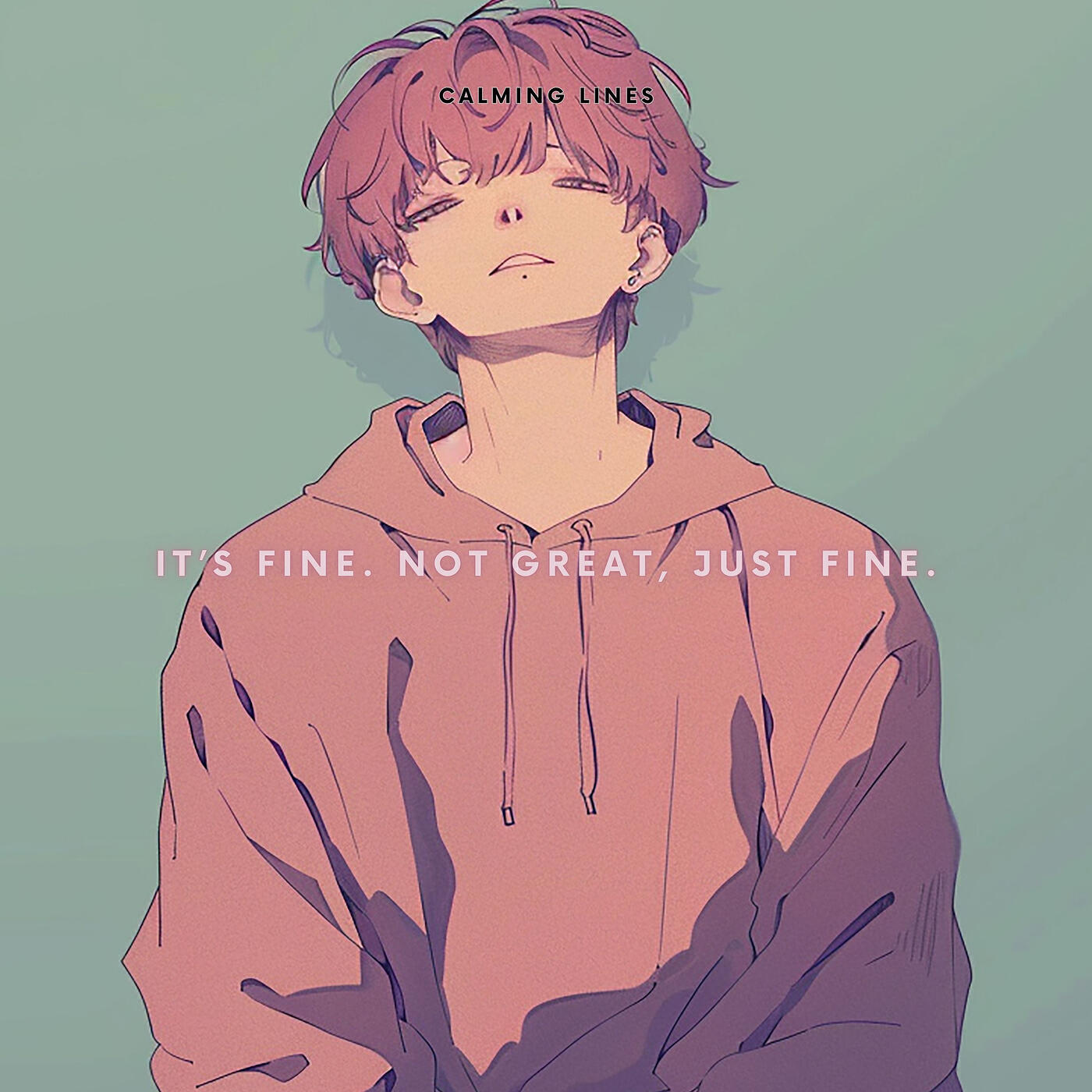 Постер альбома It’s Fine. Not Great, Just Fine.