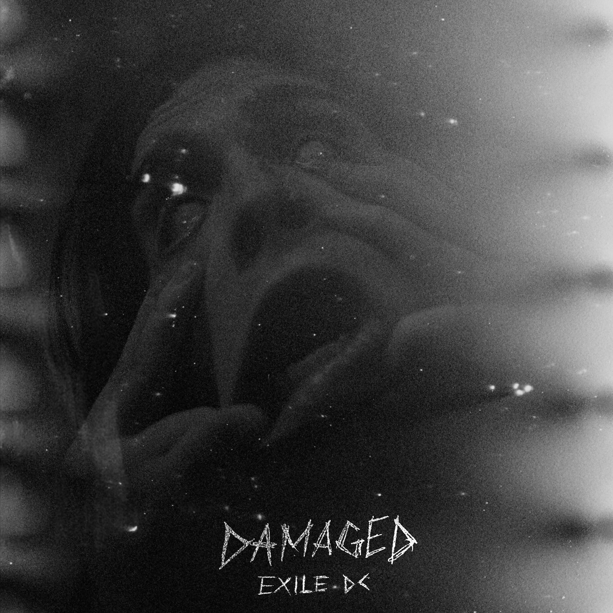 Релиз Damaged