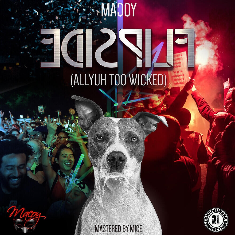 Релиз Flipside (Allyuh Too Wicked)