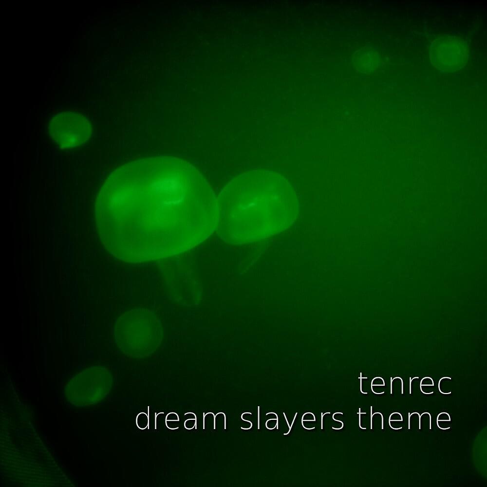 Релиз Dream Slayers Theme