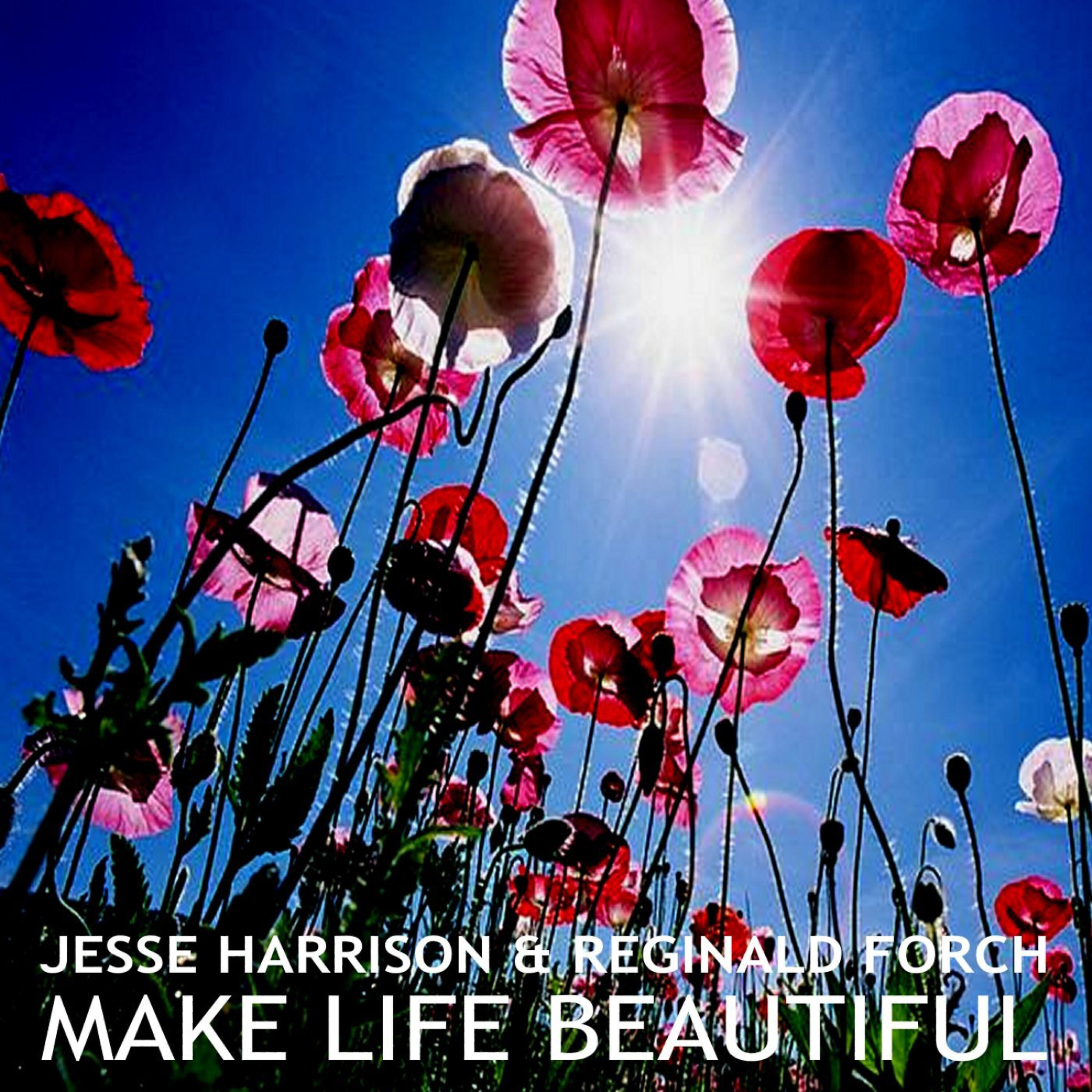 Релиз Make Life Beautiful