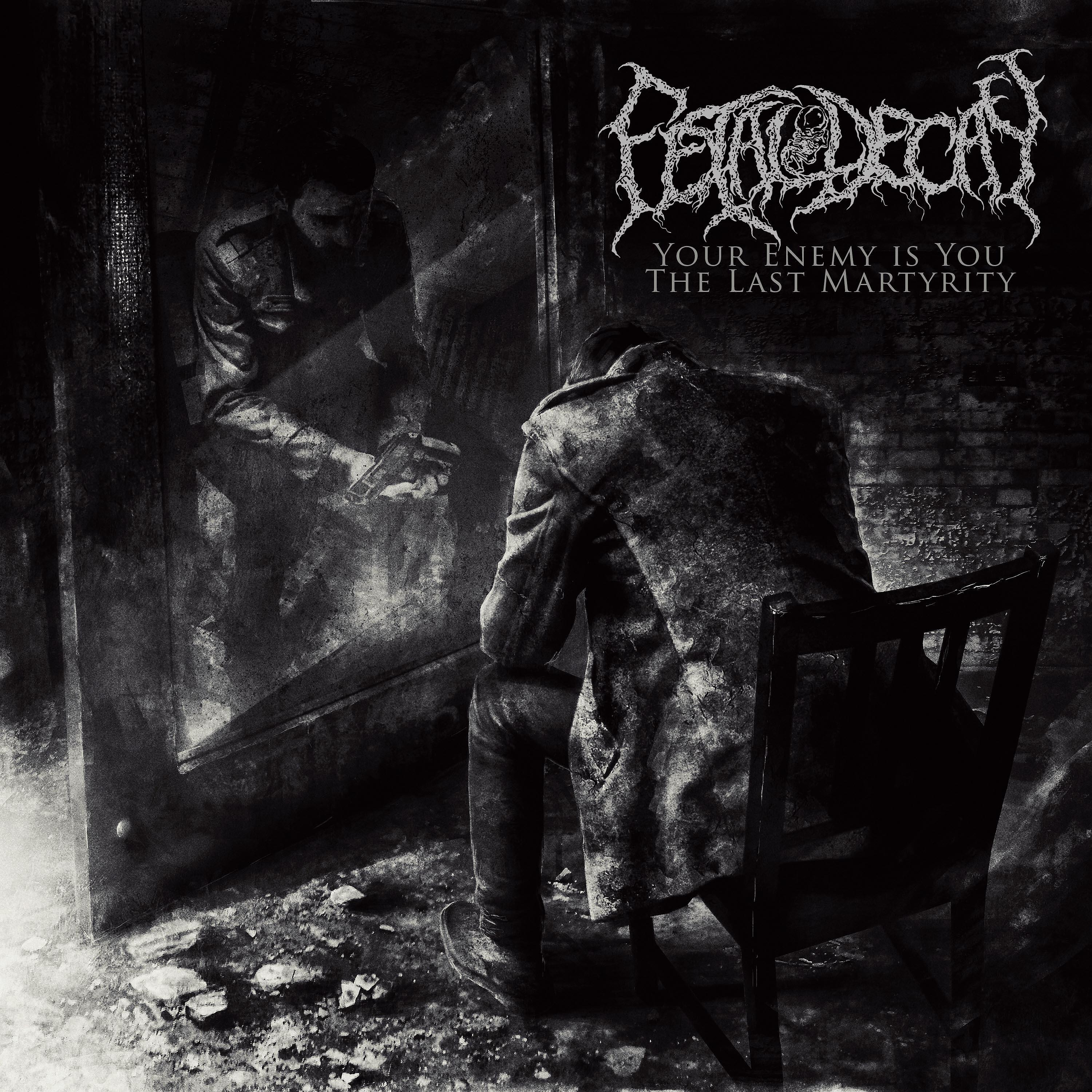 Постер альбома Your Enemy Is You. The Last Martyrity