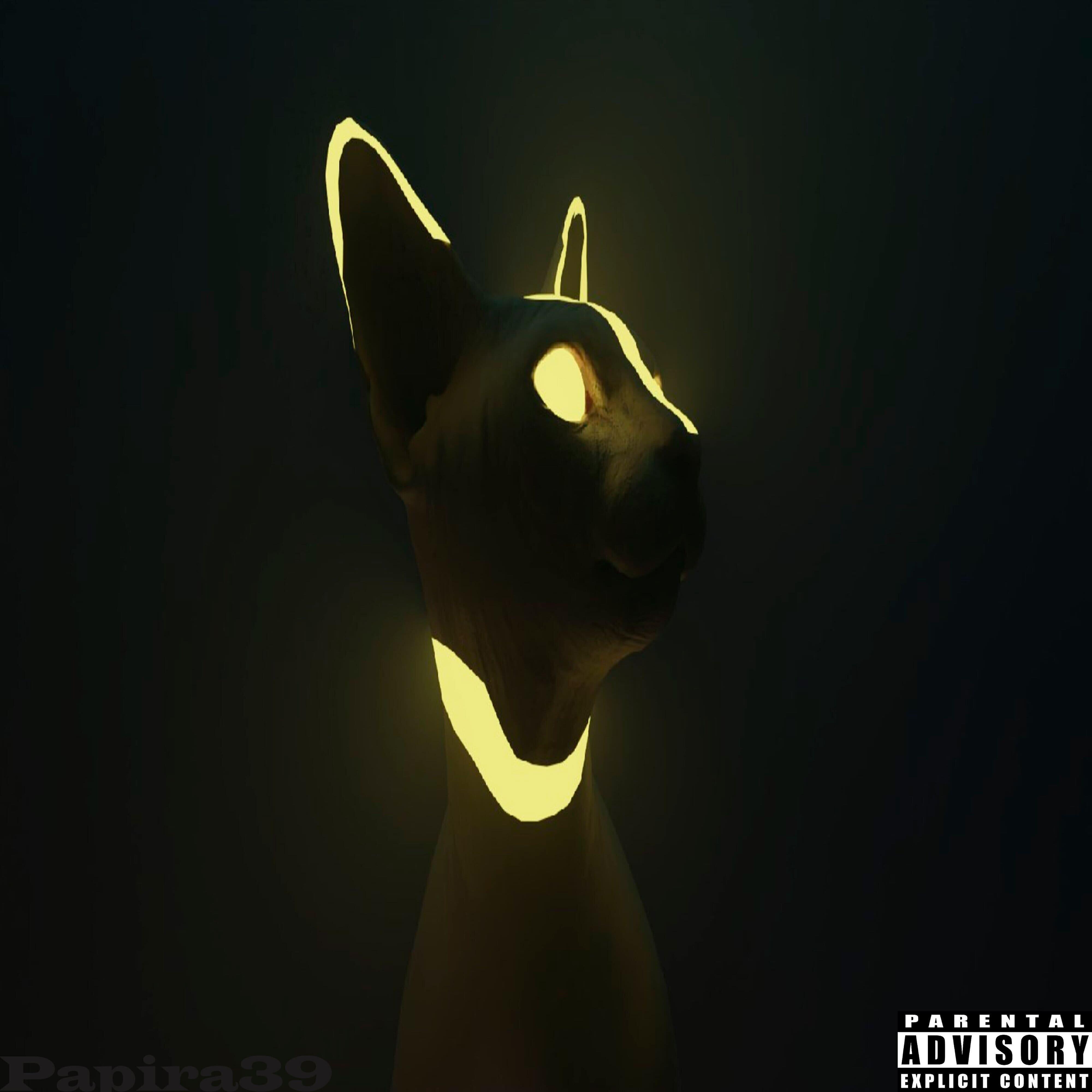Papira39