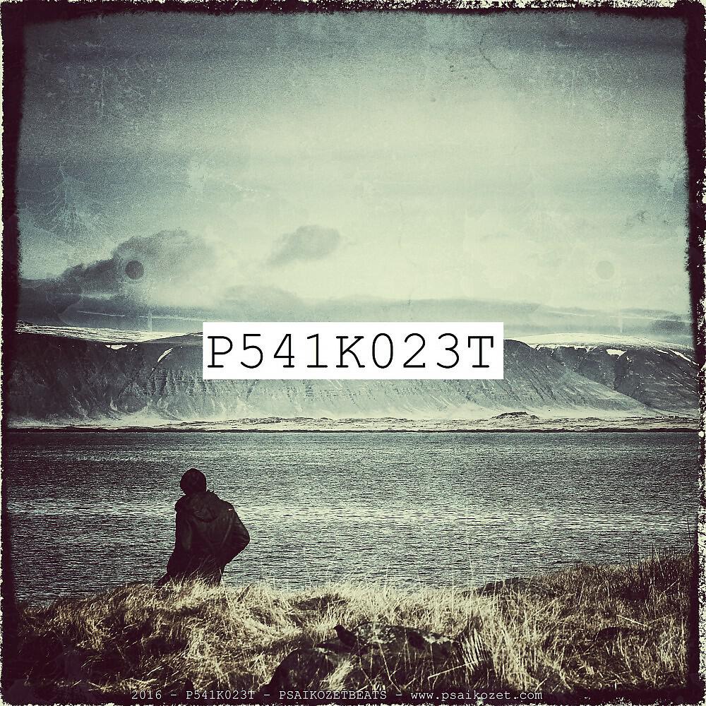 Релиз P541K023T