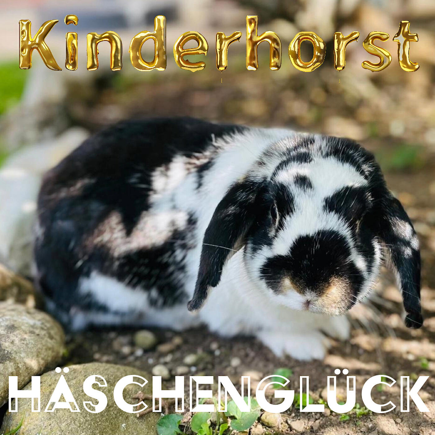 Релиз Häschenglück