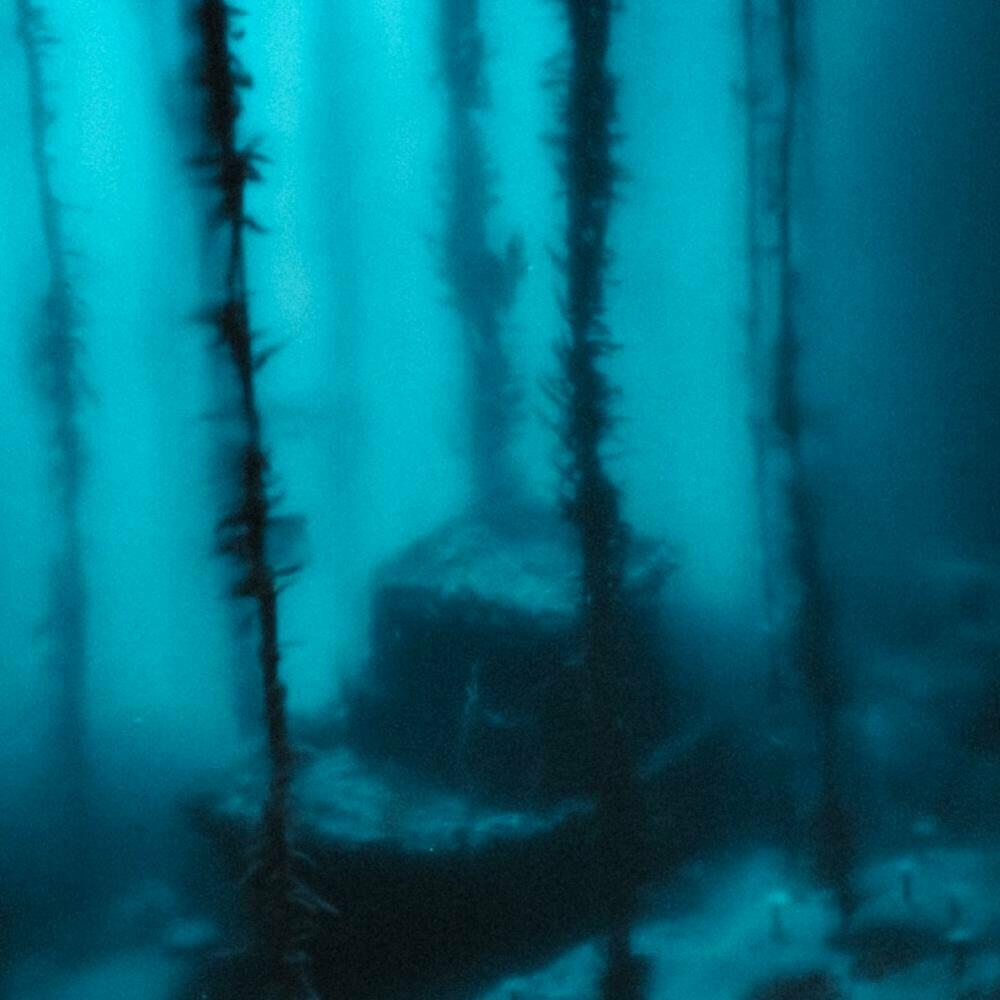 Релиз shipwrecks and mistakes