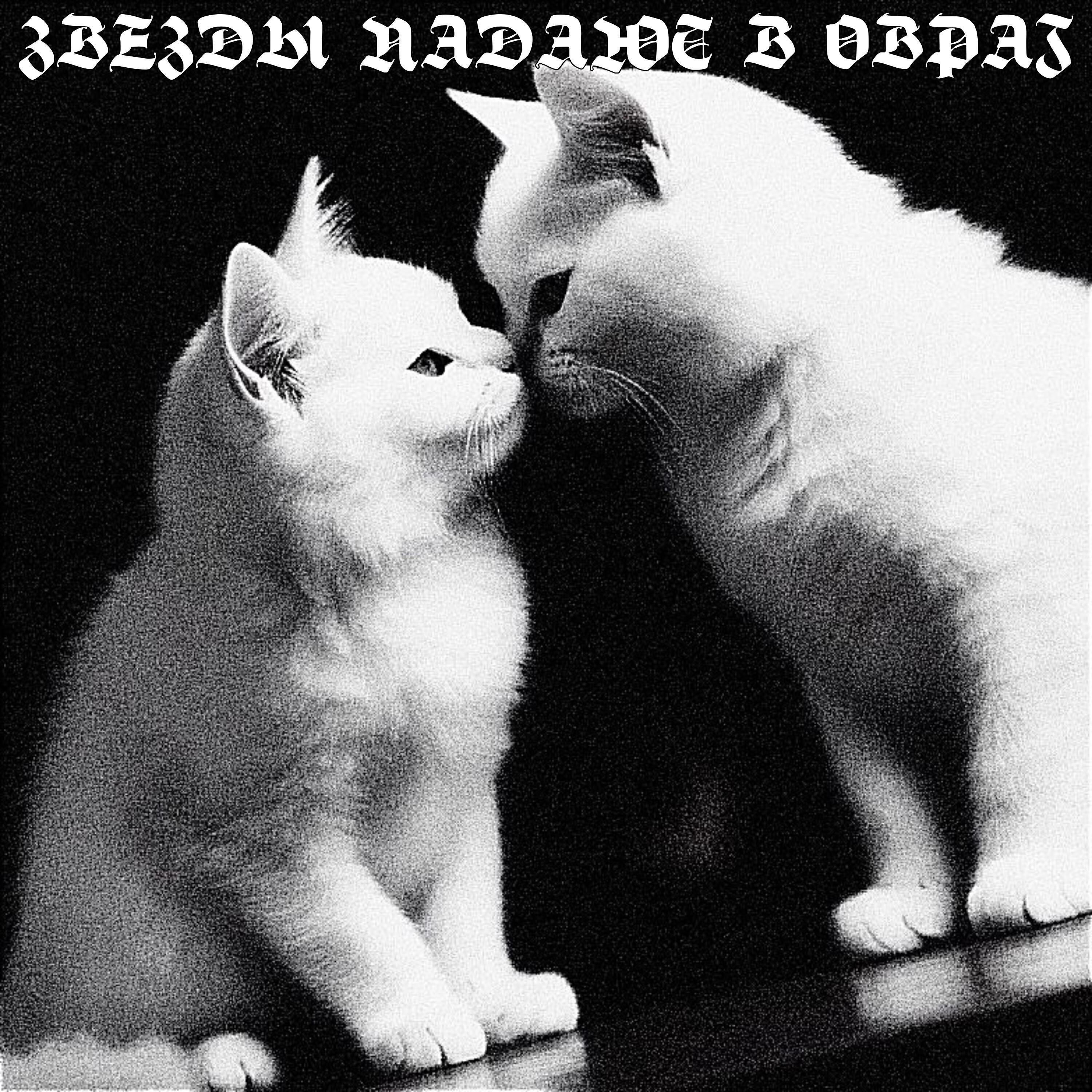 звезды падают в овраг