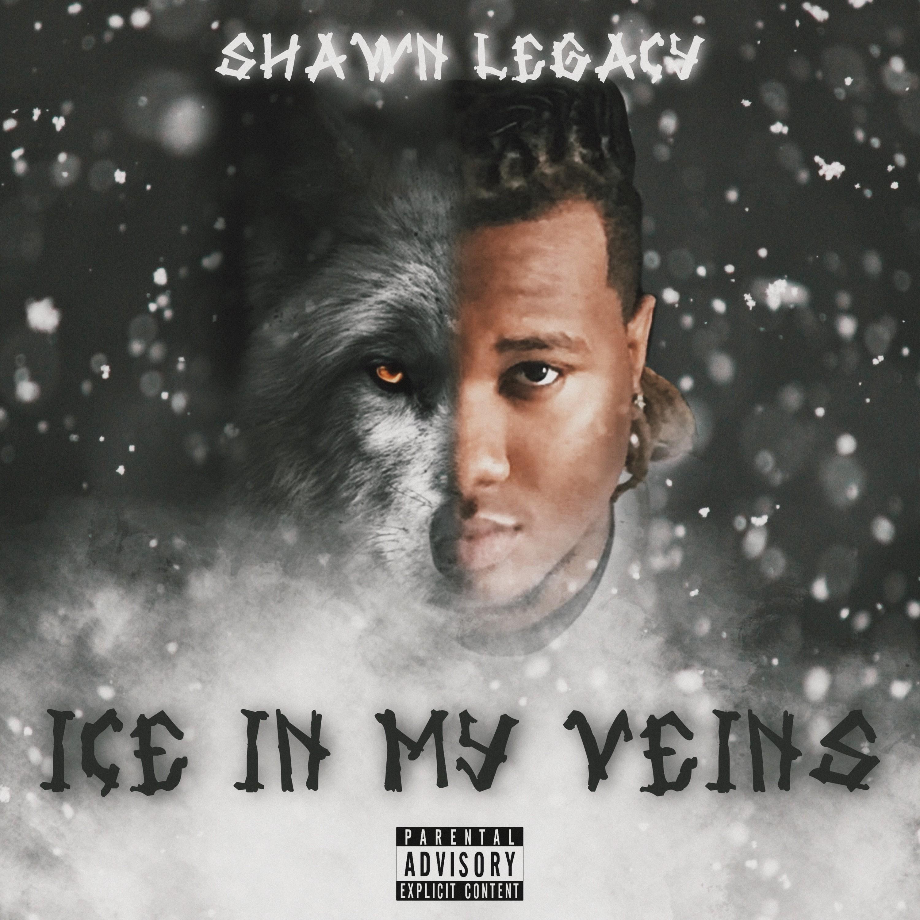 Shawn Legacy