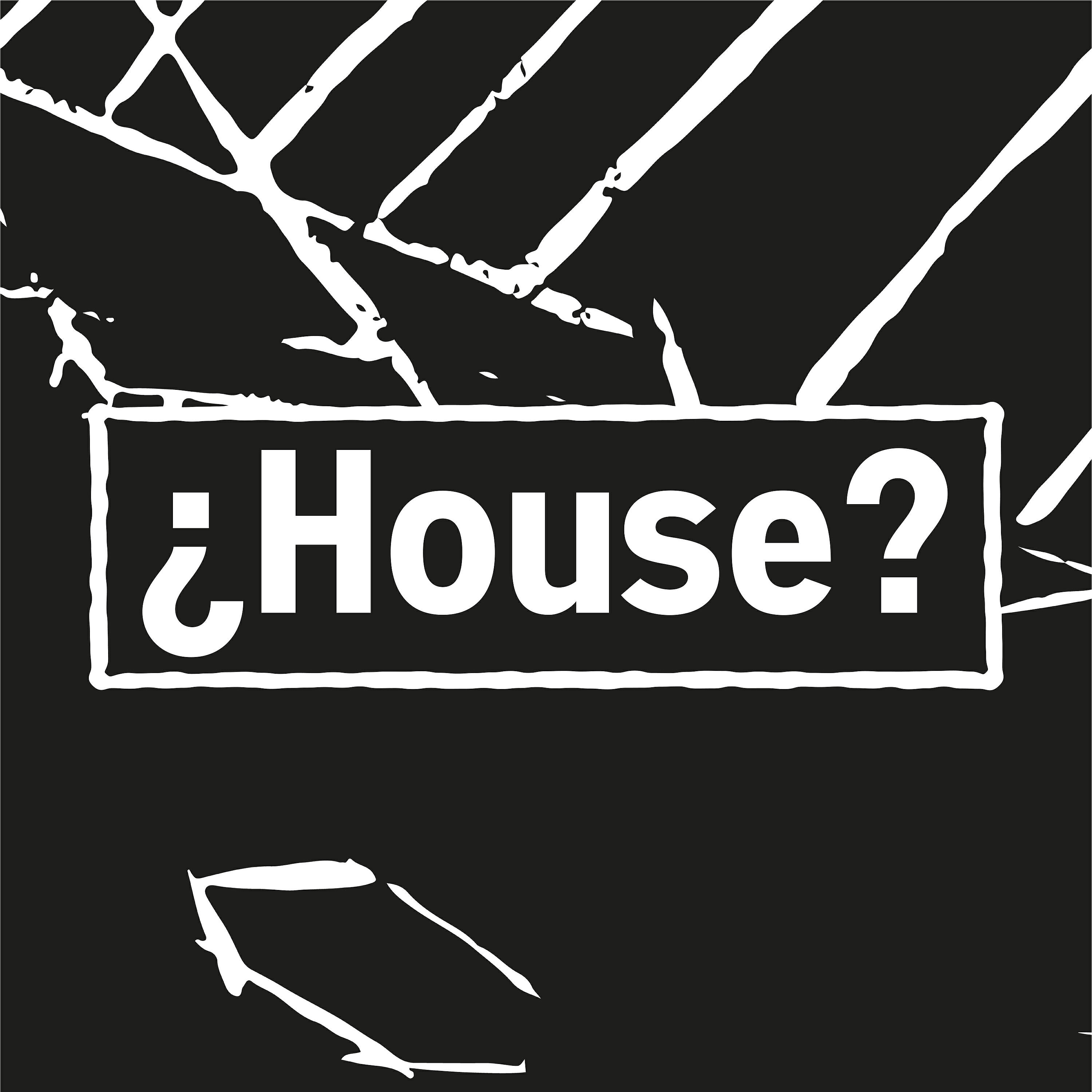 Релиз ¿House?