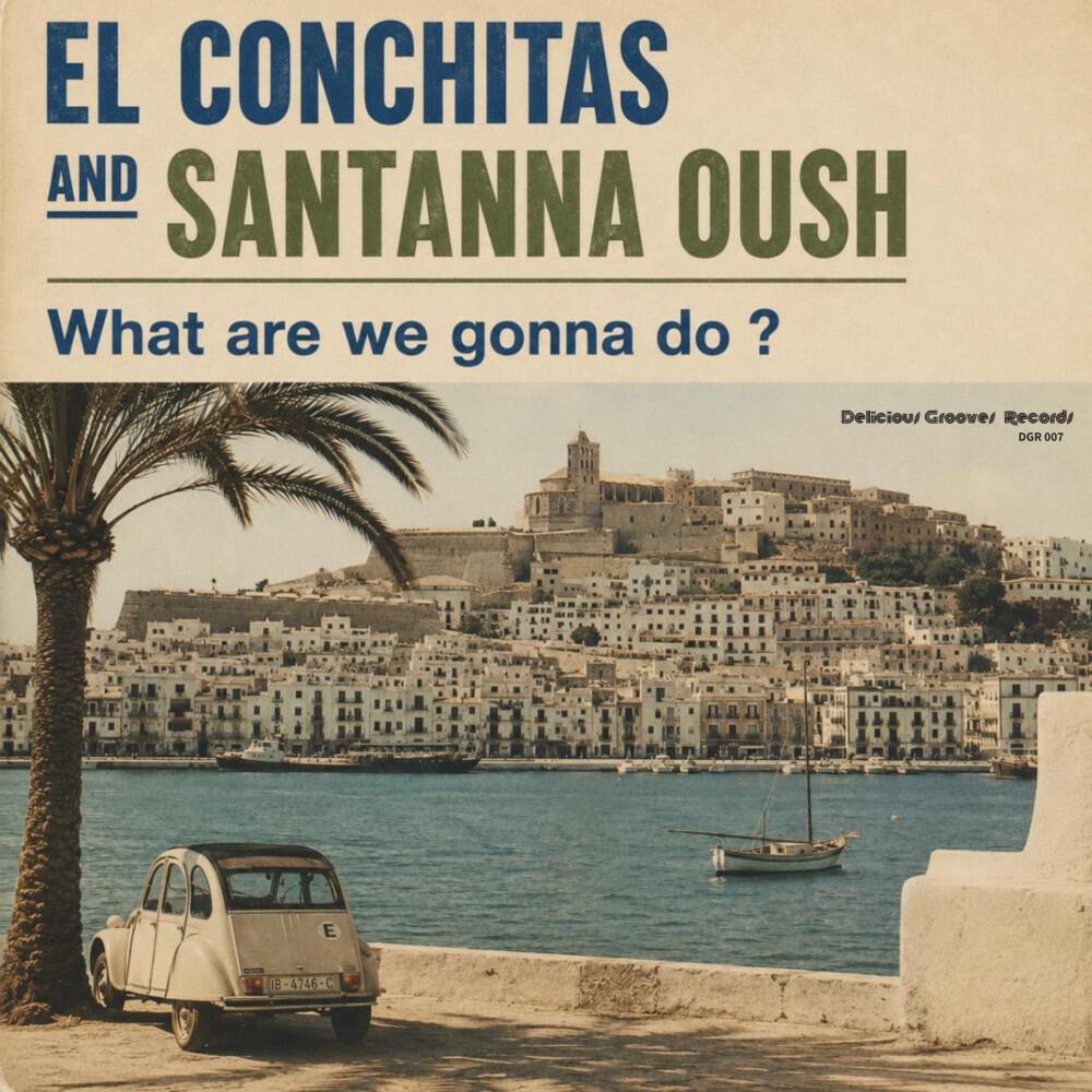 Релиз What Are We Gonna Do ? (original mix)