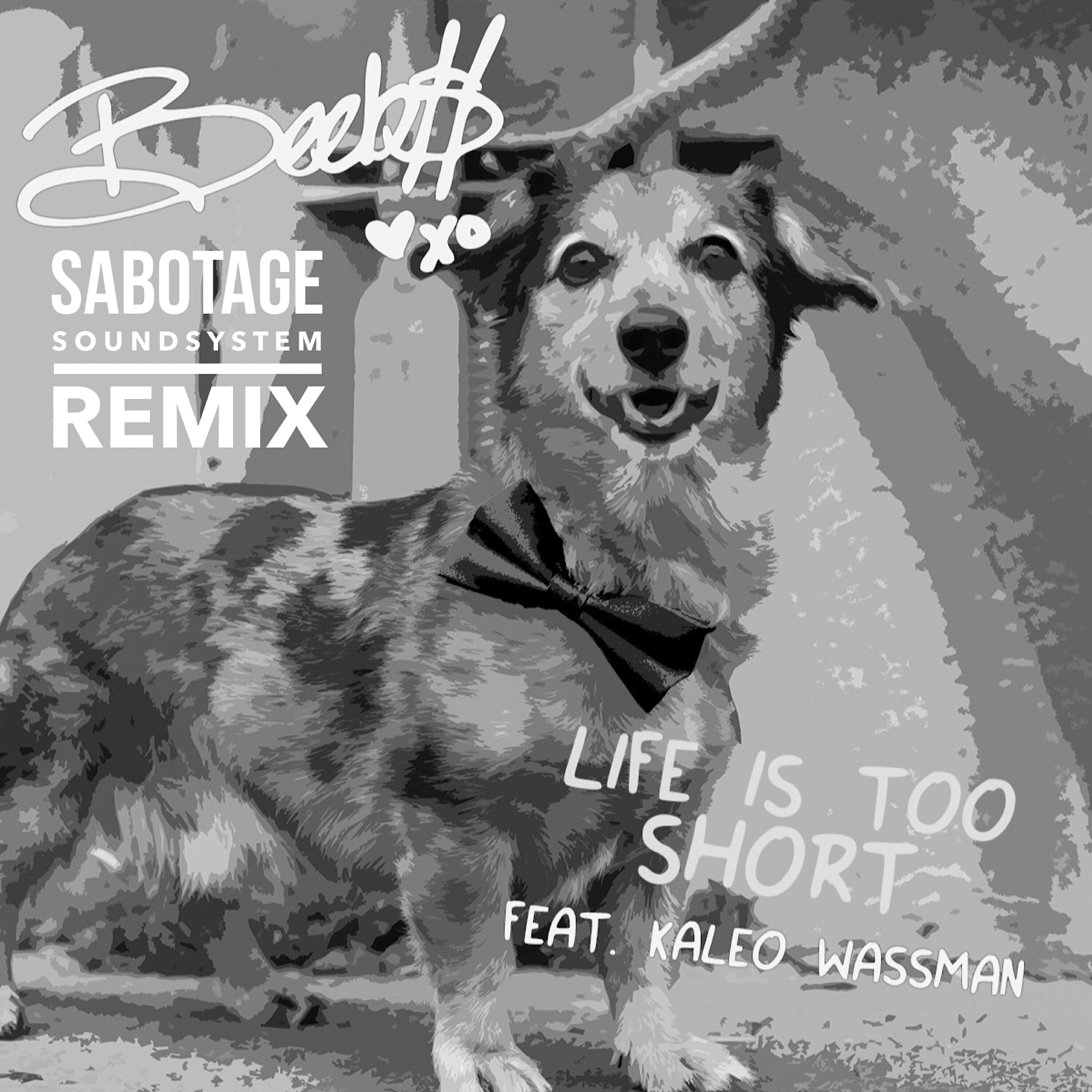 Релиз Life Is Too Short
