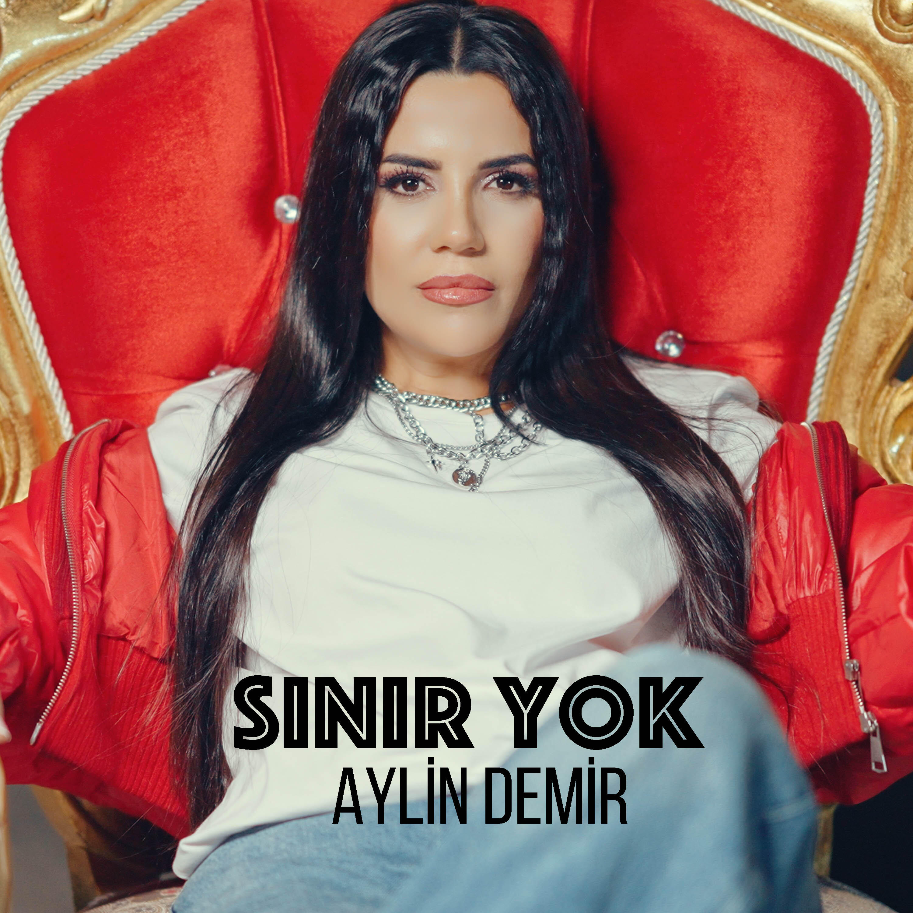 Релиз Sınır Yok