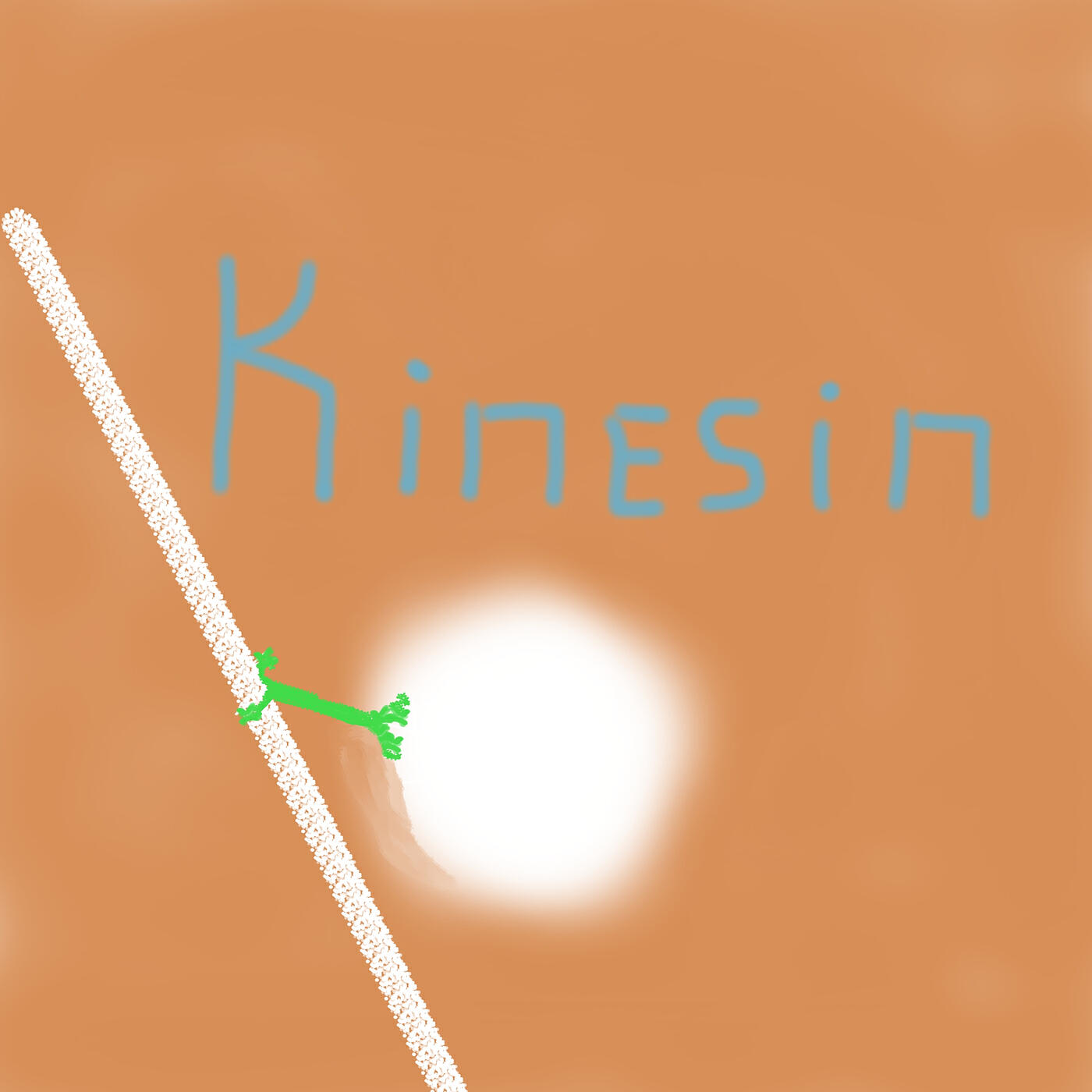 Релиз Kinesin