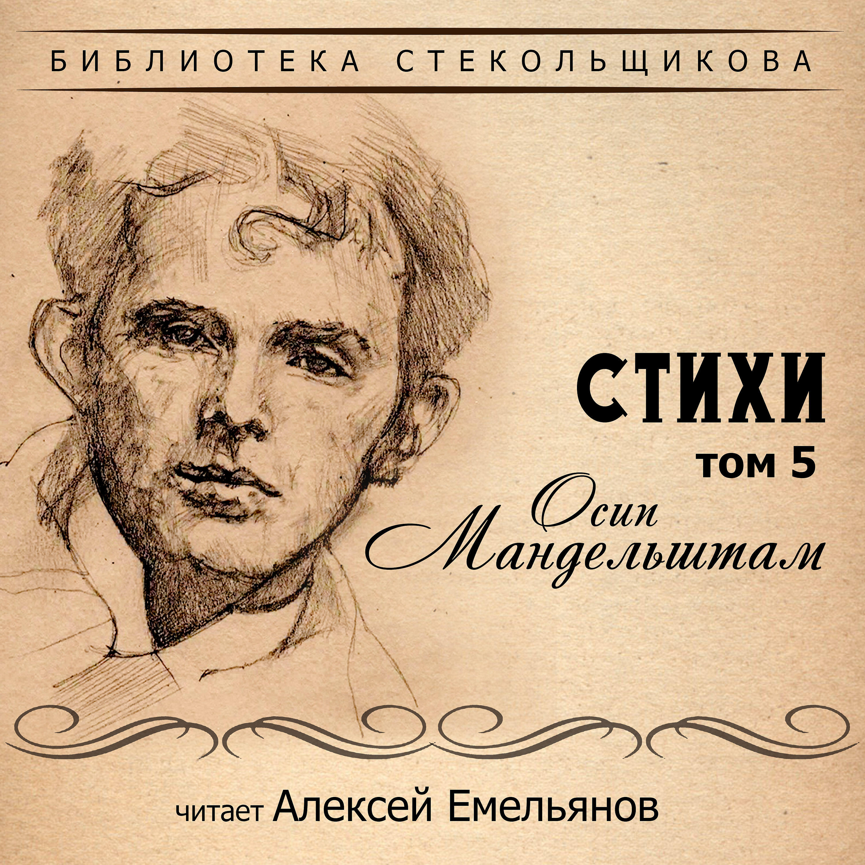 Книга Стихи. Том 5. Библиотека Стекольщикова