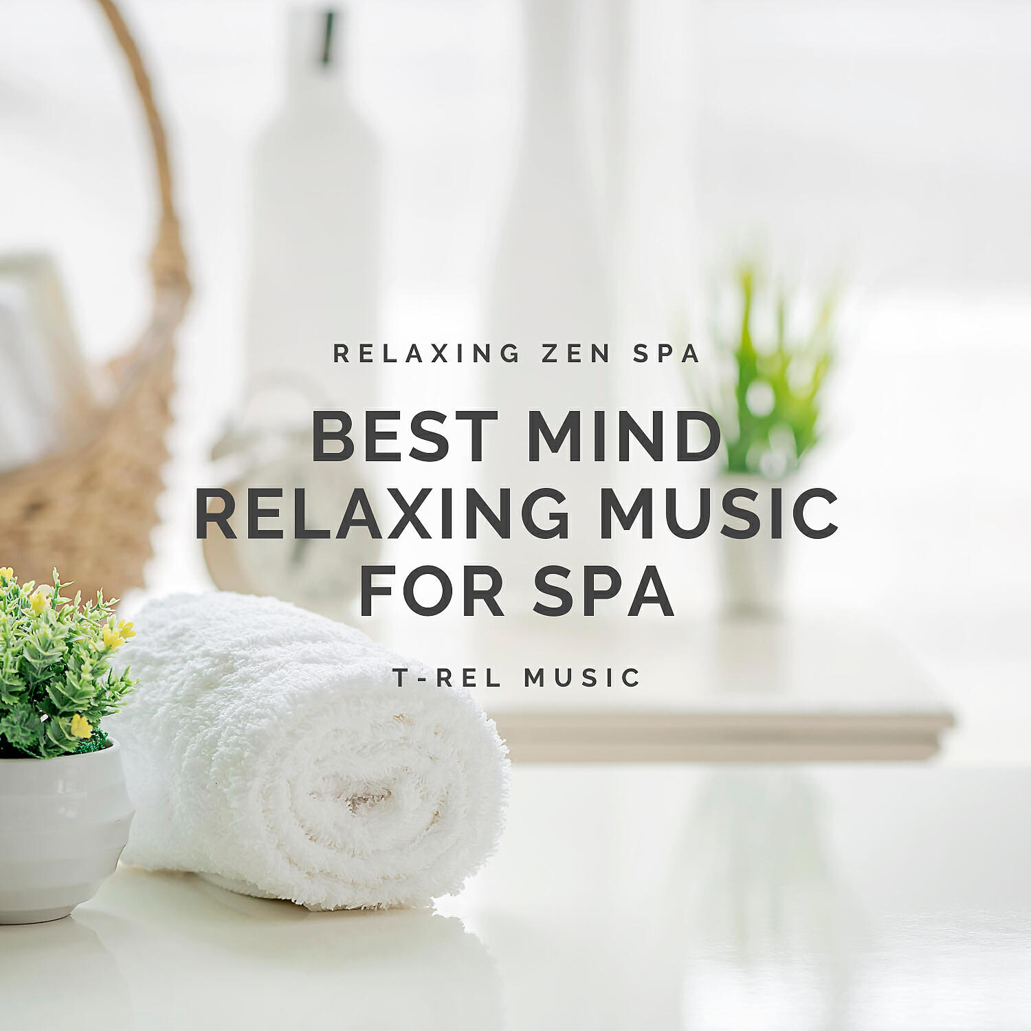 Релиз Best Mind Relaxing Music for Spa
